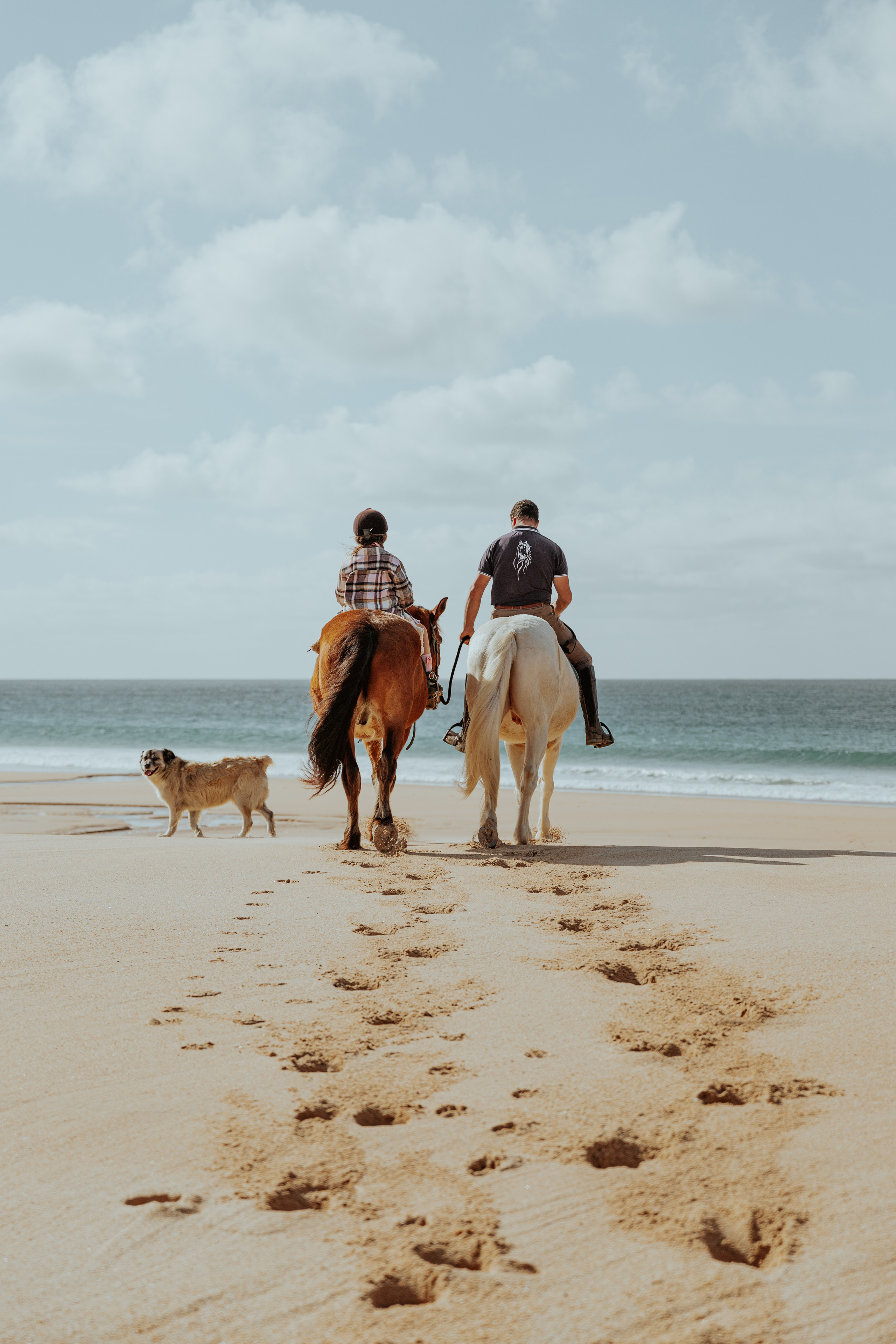 Passeios a Cavalo na Praia Peniche | Eco Salgados Agroturismo