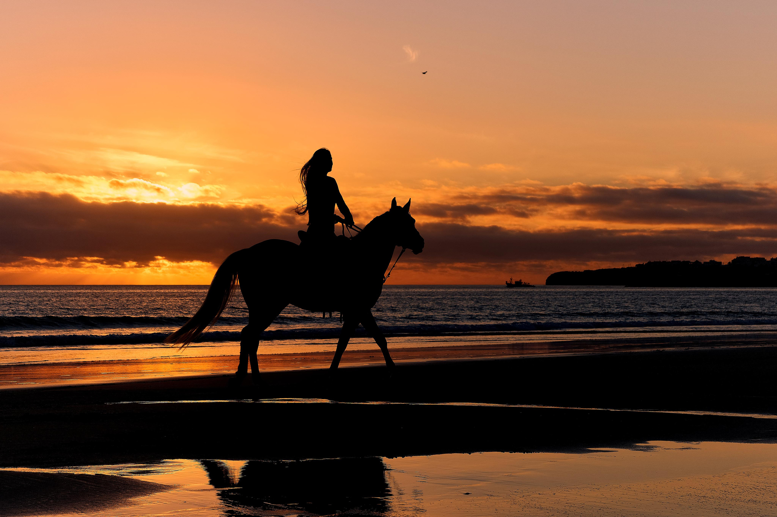 Passeios a Cavalo na Praia Peniche | Eco Salgados Agroturismo