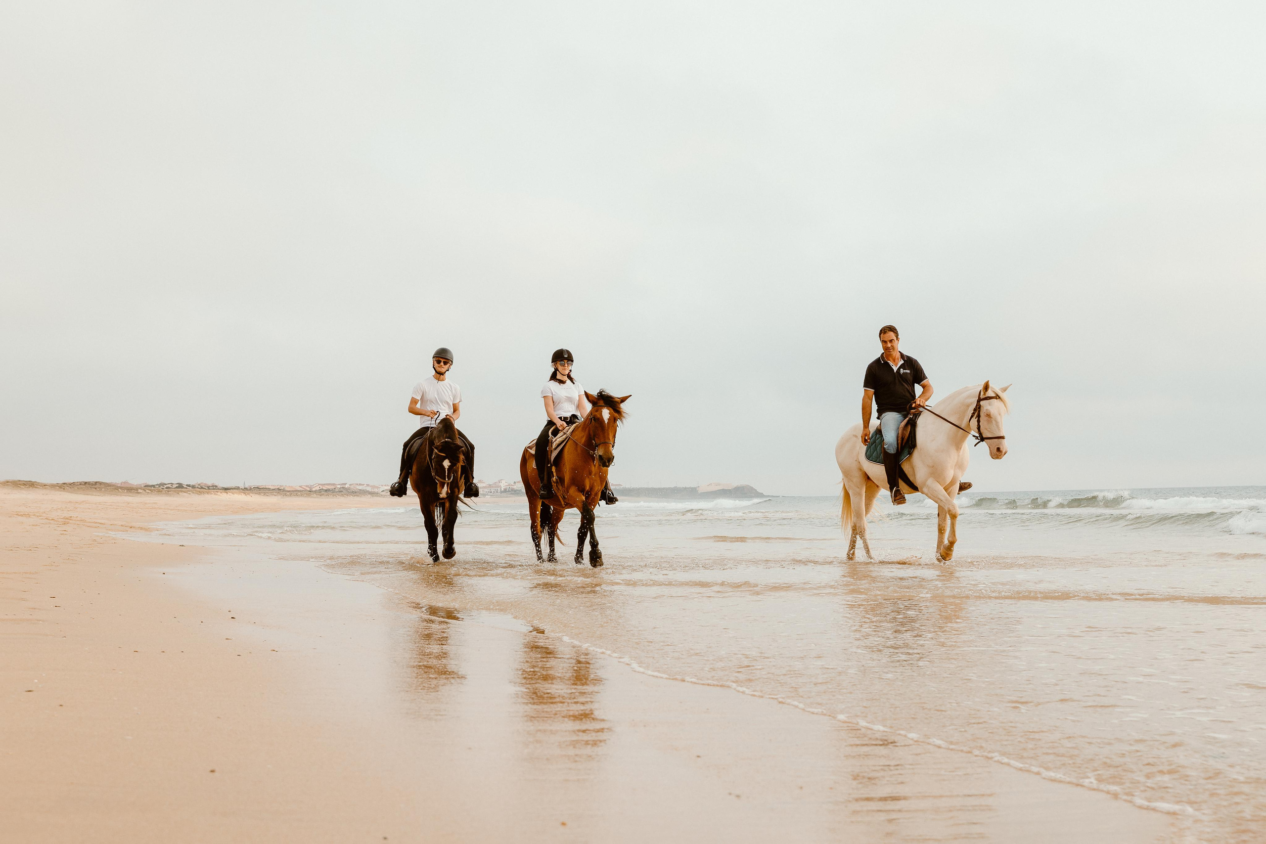 Passeios a Cavalo na Praia Peniche | Eco Salgados Agroturismo