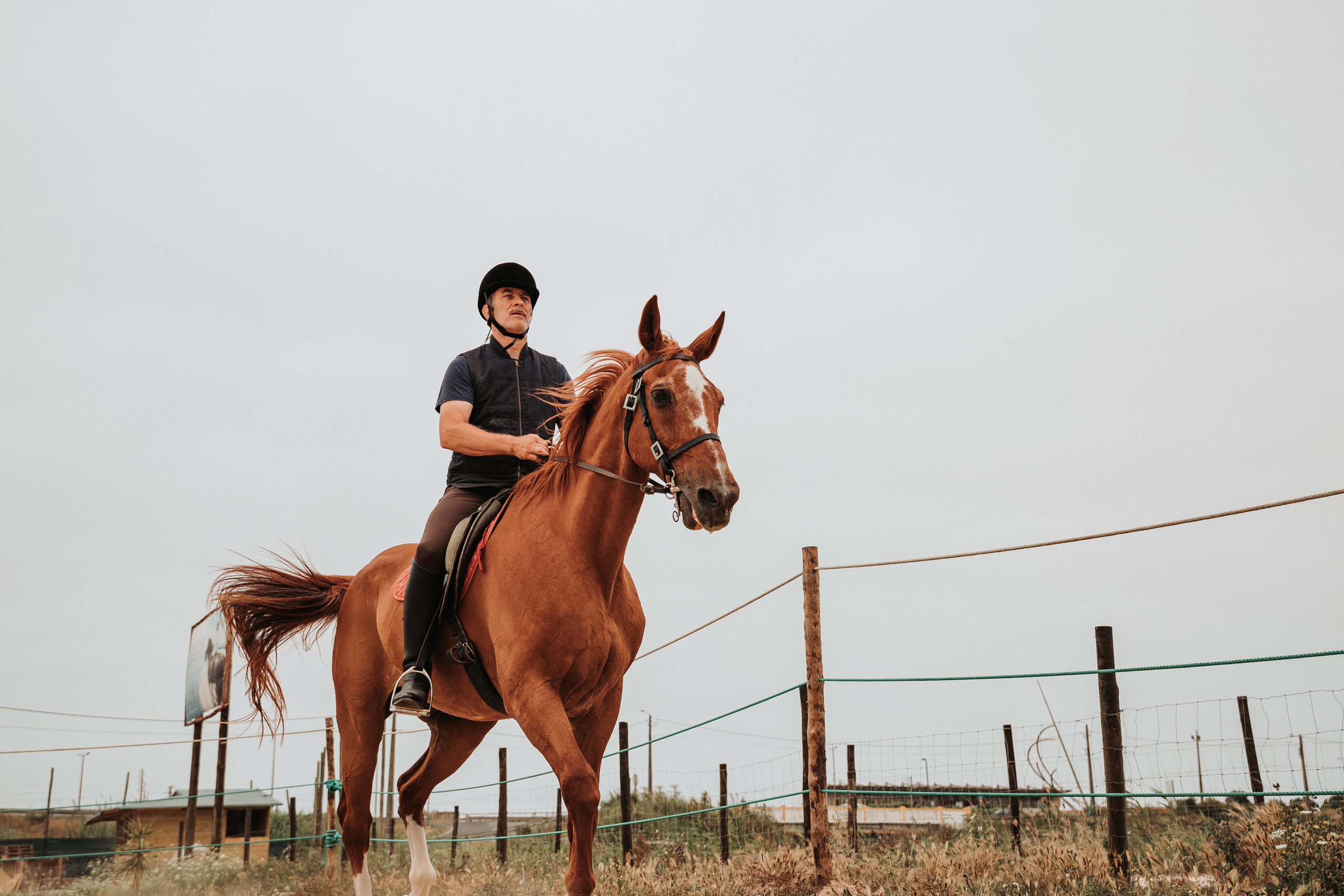Passeios a Cavalo na Praia Peniche | Eco Salgados Agroturismo