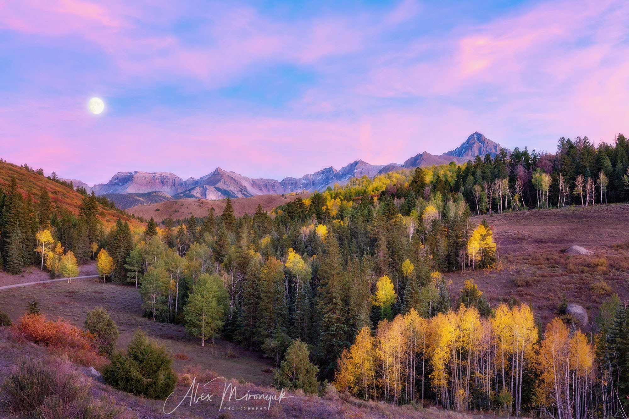 Fall Colors Of Colorado. Pet, Senior, Landscape, portrait studio, photographer in Miami and Sou