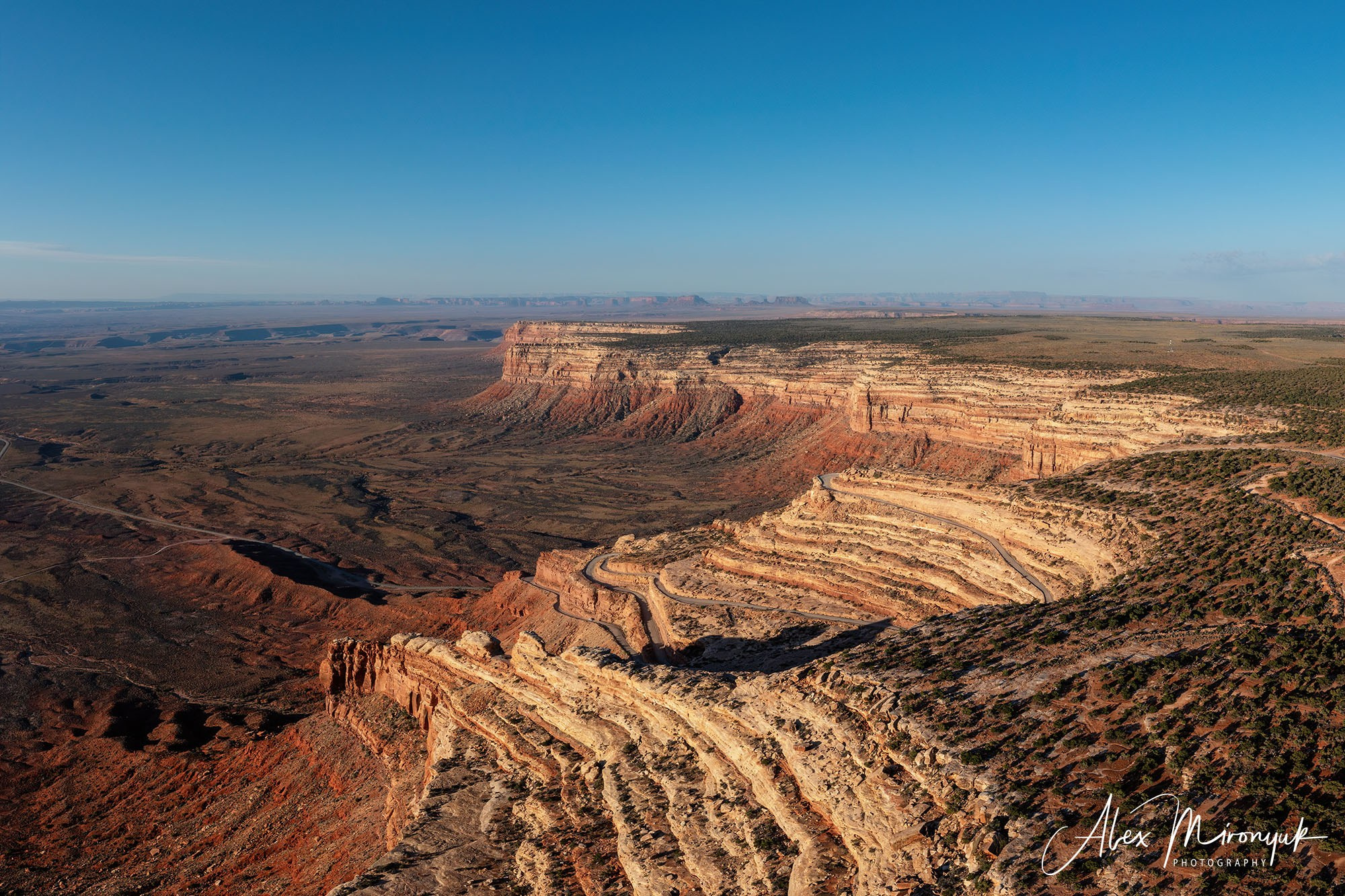 Eagle’s View American Southwest. Pet, Senior, Landscape, portrait studio, photographer in Miami and Sou