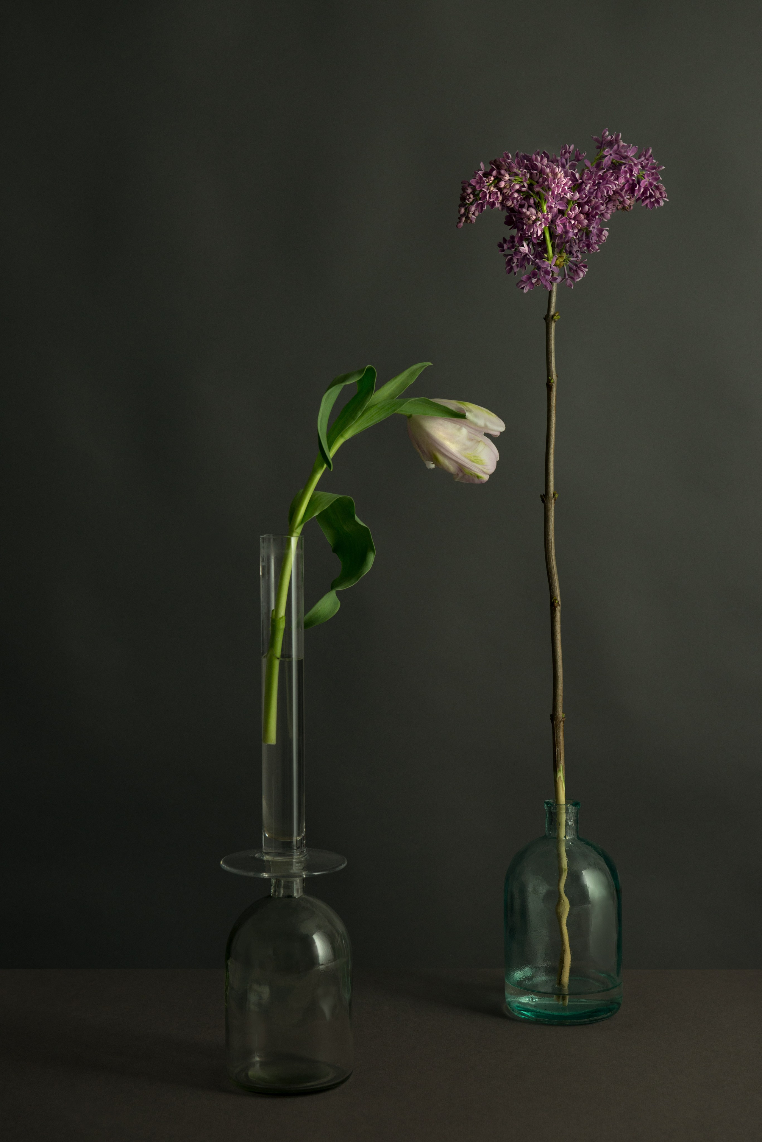 Narcissists 2017. Photographe de produits et natures mortes à Paris