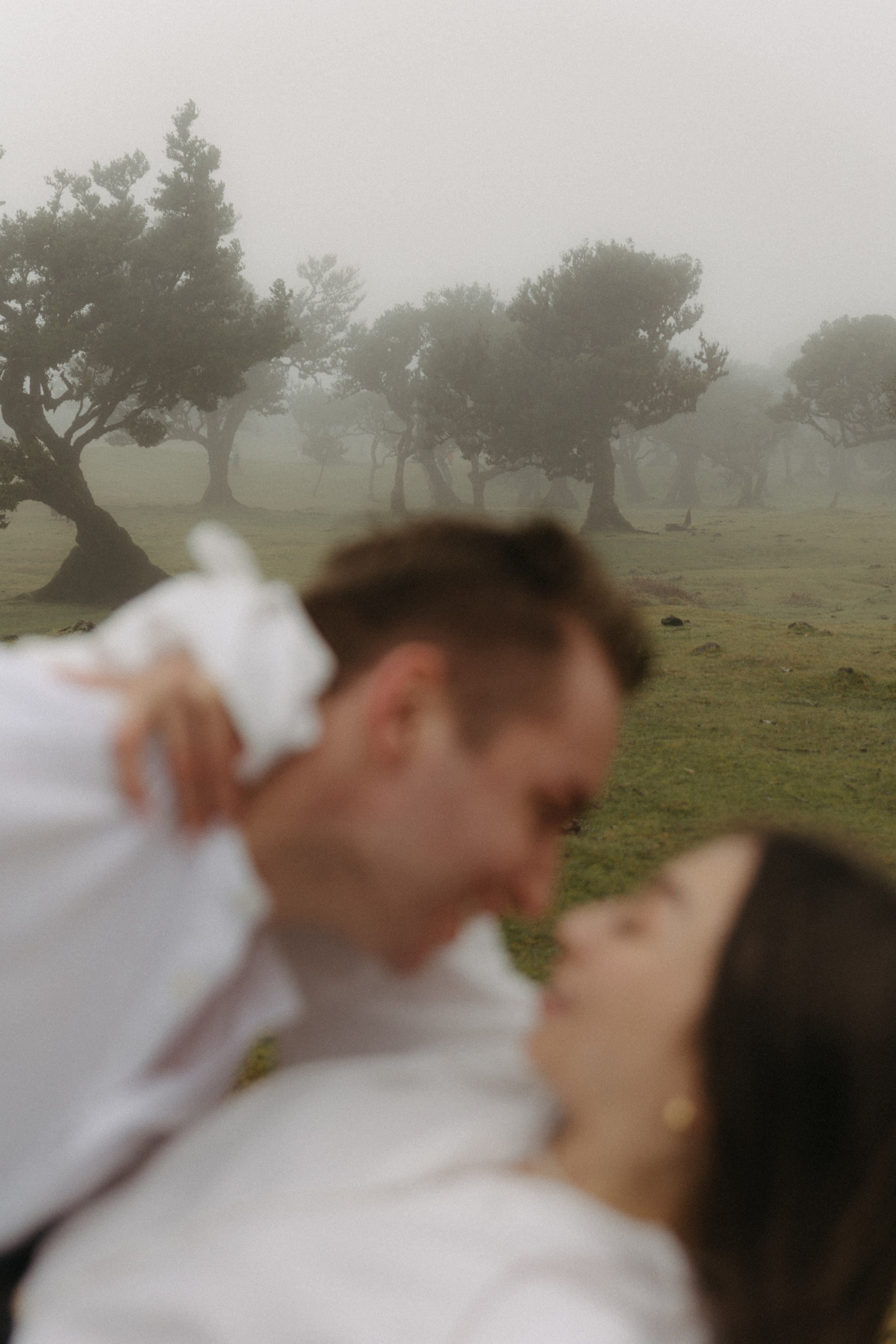 Magic of Fanal Forest. Wedding photographer and videographer based in Timisoara, Romania