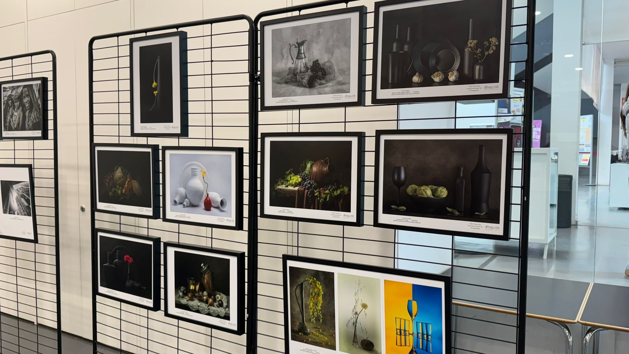 Exposiciones. DIANA TRILLO_PHOTOGRAPHY