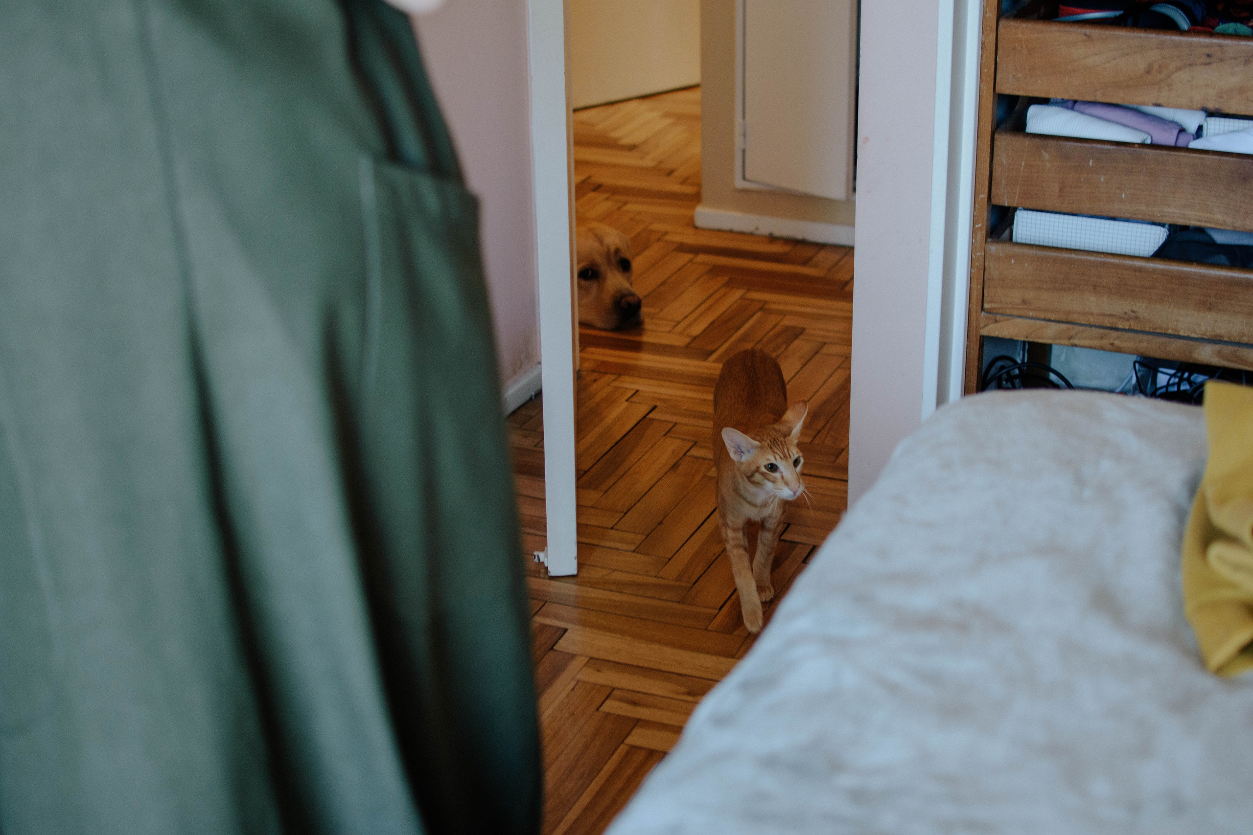 Nice to meet you, Eugenia. Photographer @elmirkami in the city of Buenos Aires