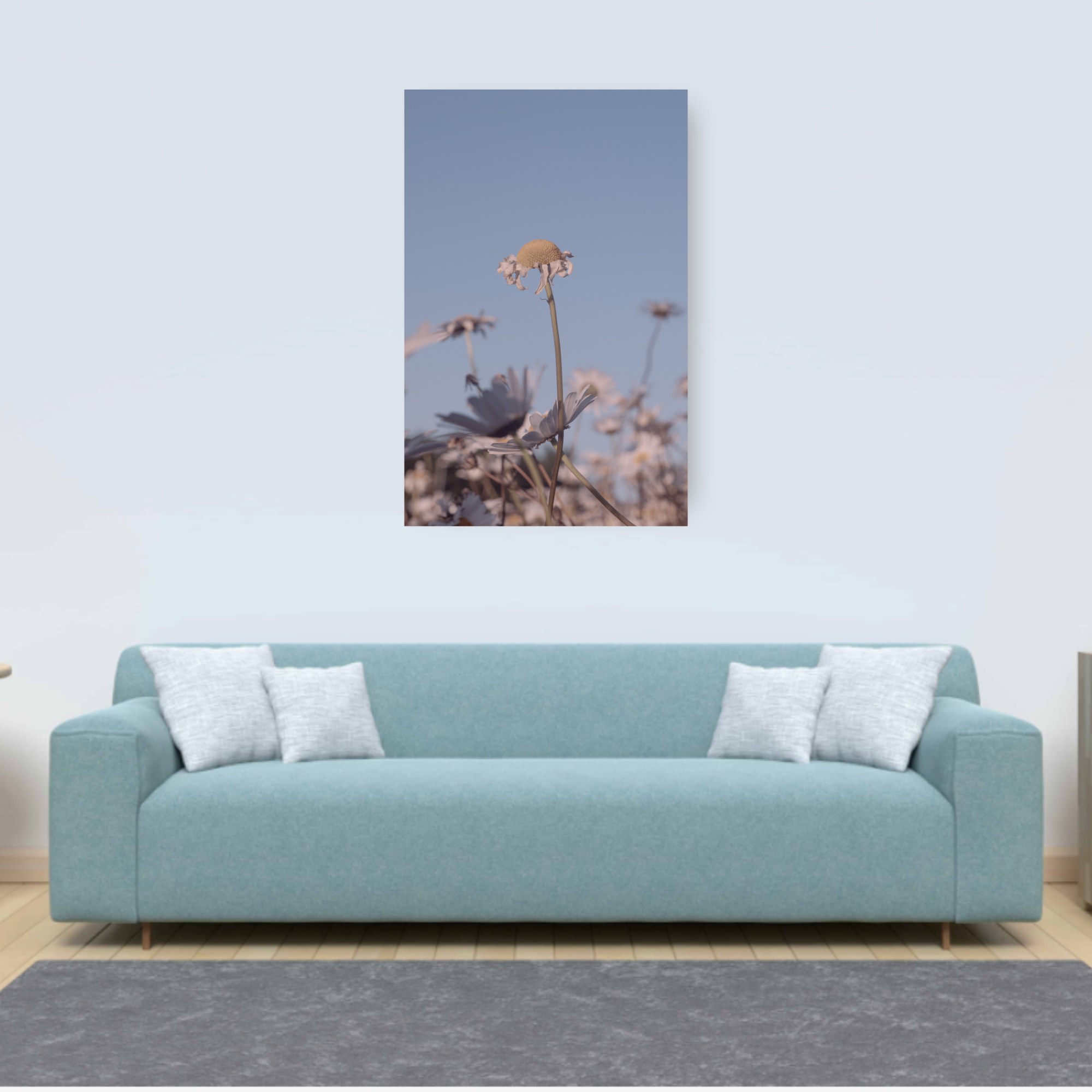 DAISIES. Natalja Poplavska — Visual artist, Photographer, East Sussex, London