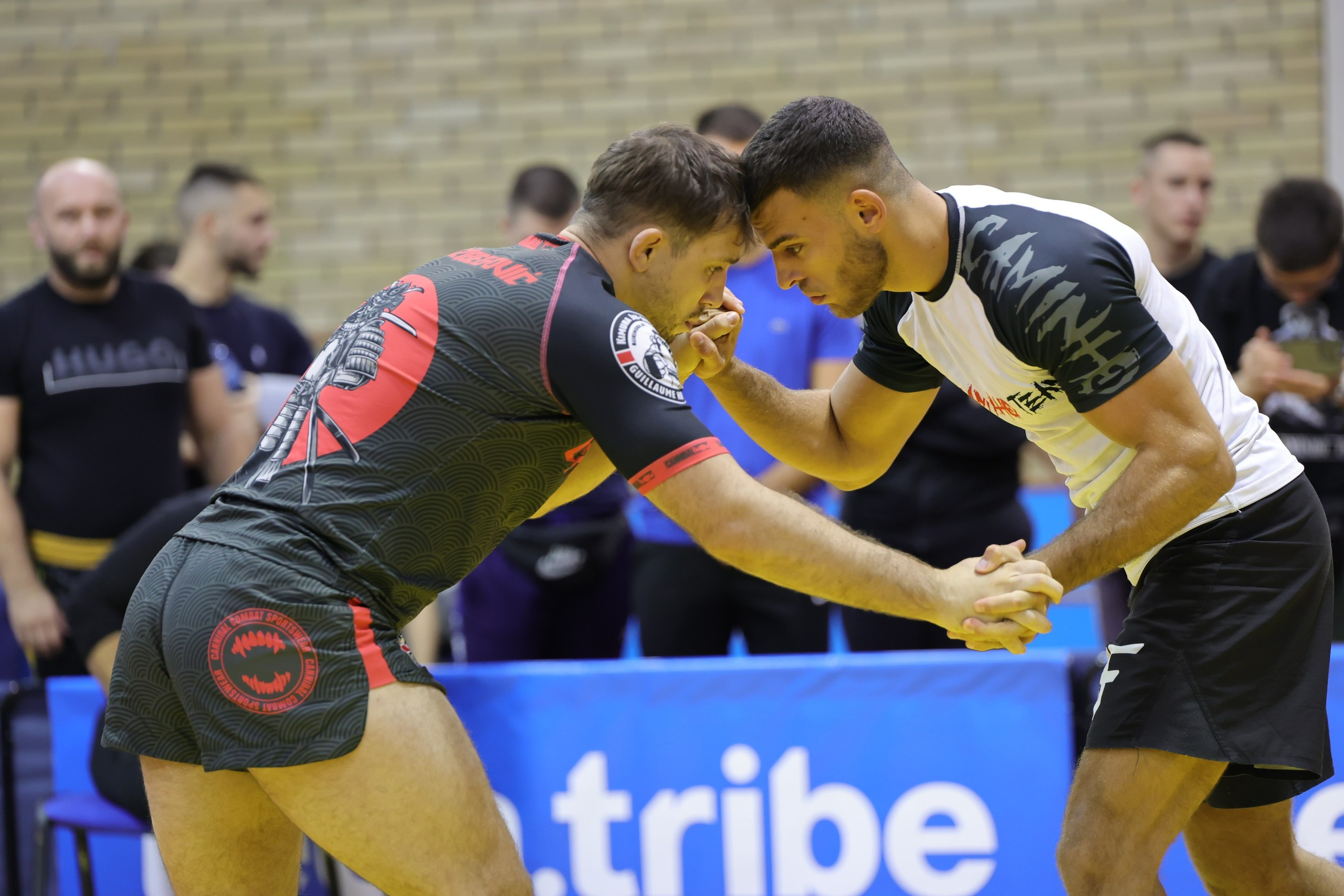 NO GI Challenge Novi Sad