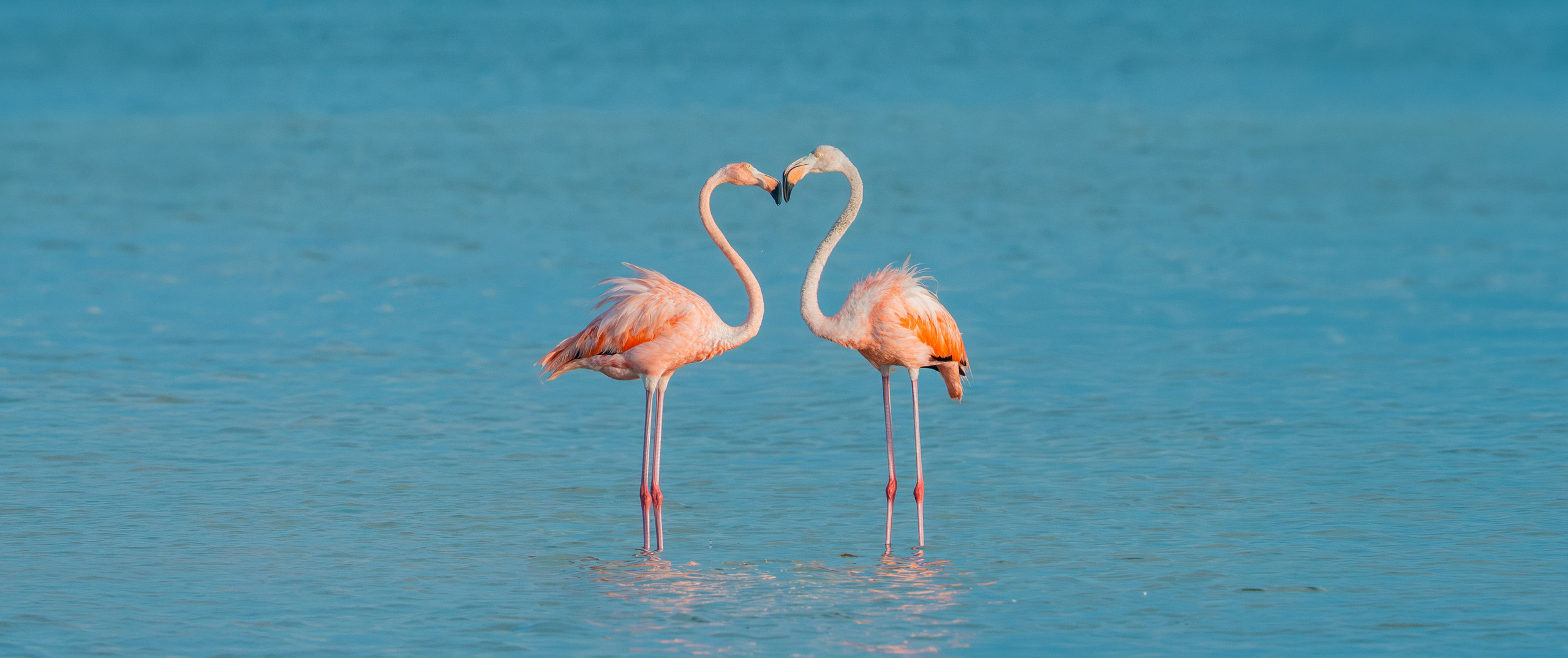 Nature photographer Yuri Soria-Galvarro