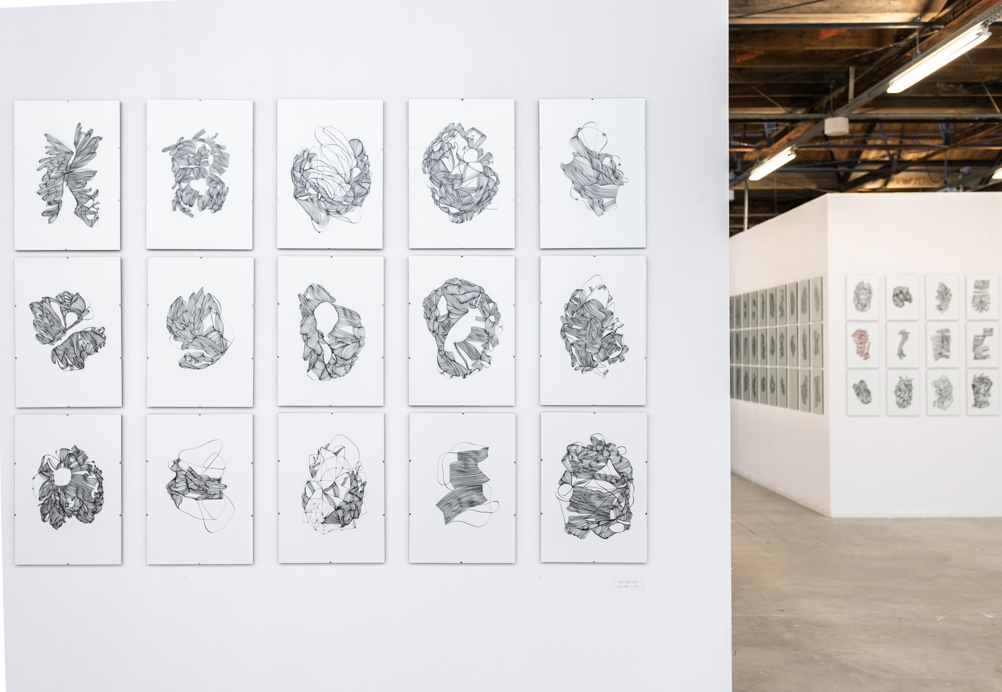 Kristine Tumanyan, kunstenaar Nederland, Roermond, Heerlen, Limburg. Meditative line art. Armenie