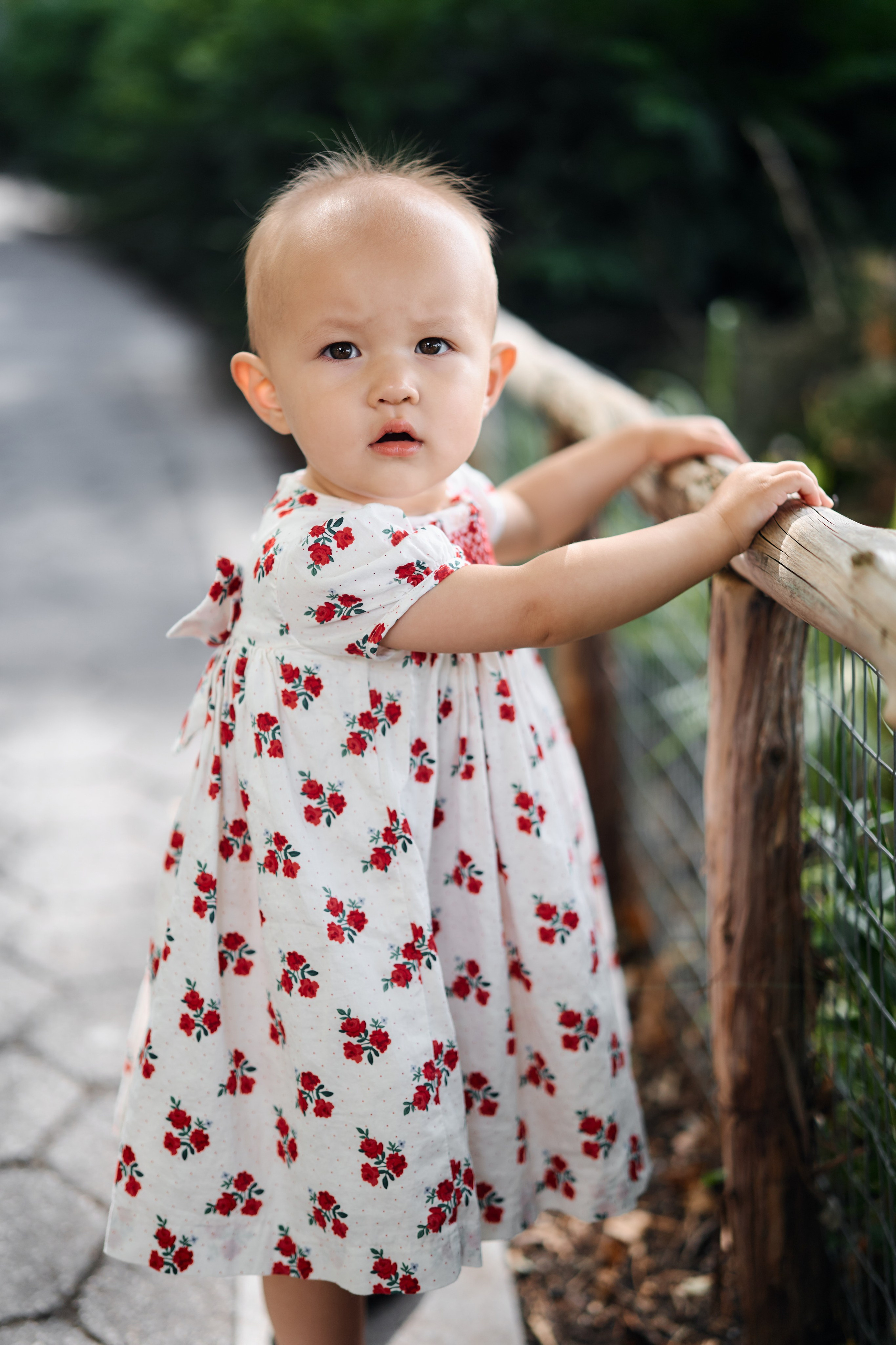 Family photo service New York / Experienced photographer. Professional Wedding and event photographer USA New York