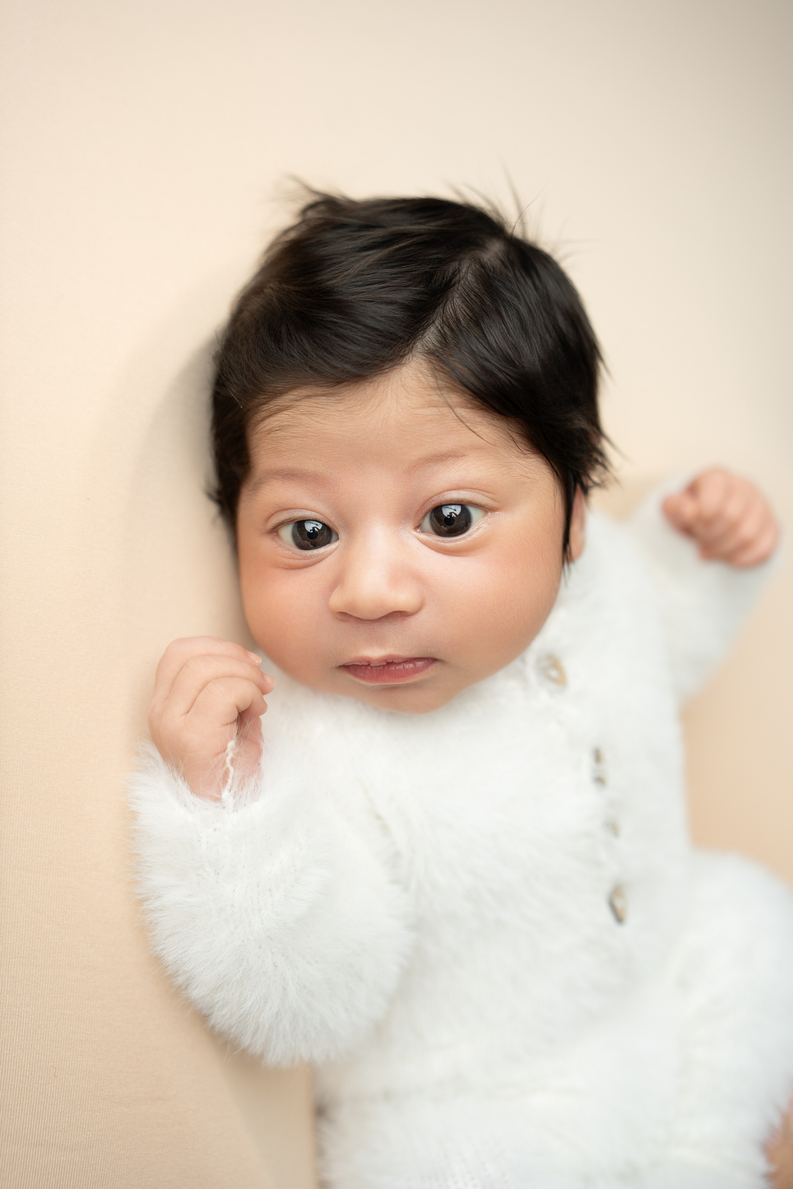 Posed Newborn. Maternity, family and newborn photography in San Francisco Bay Area