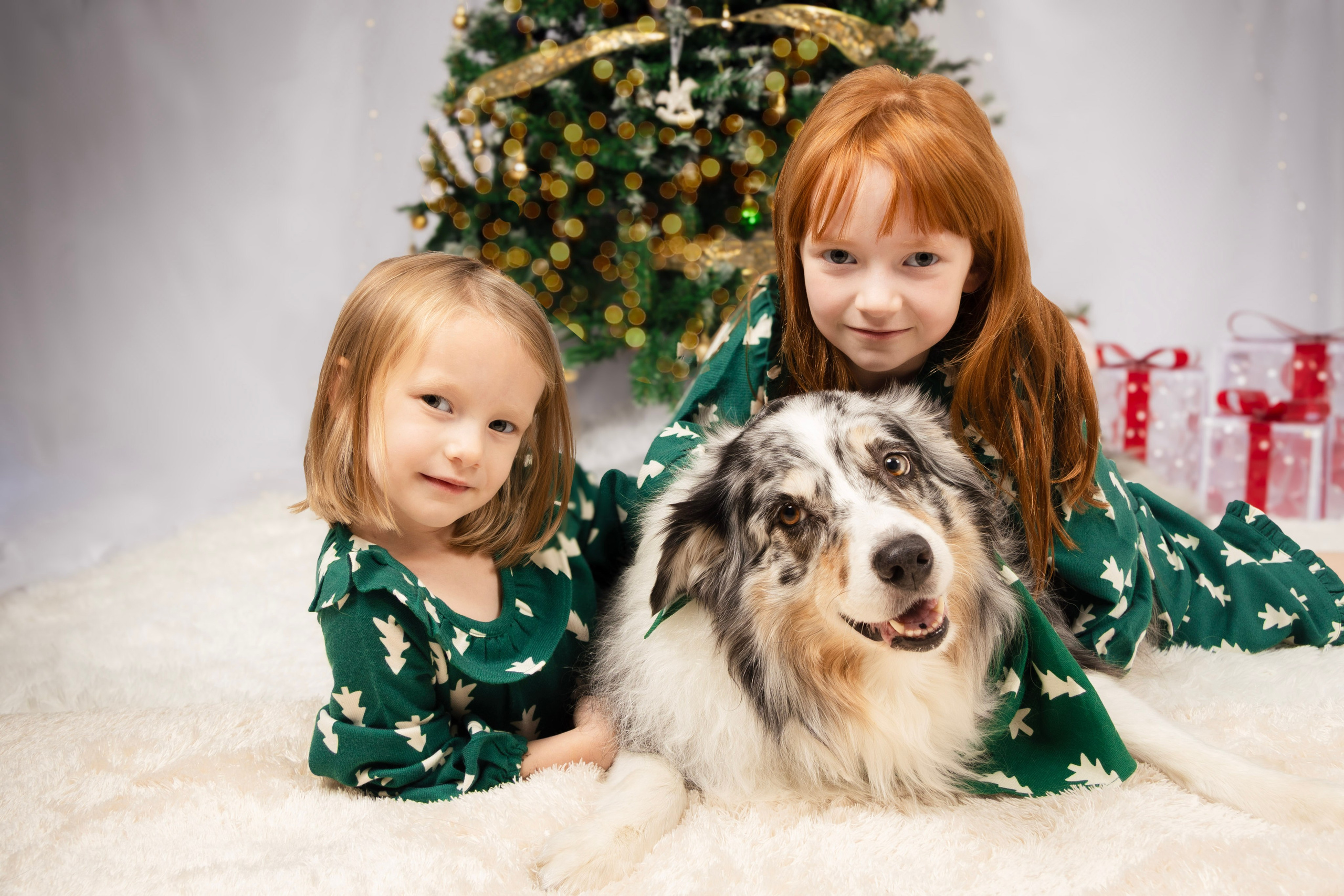 Holiday Mini Sessions — perfect for your Christmas cards!. Photographer in Port Jefferson