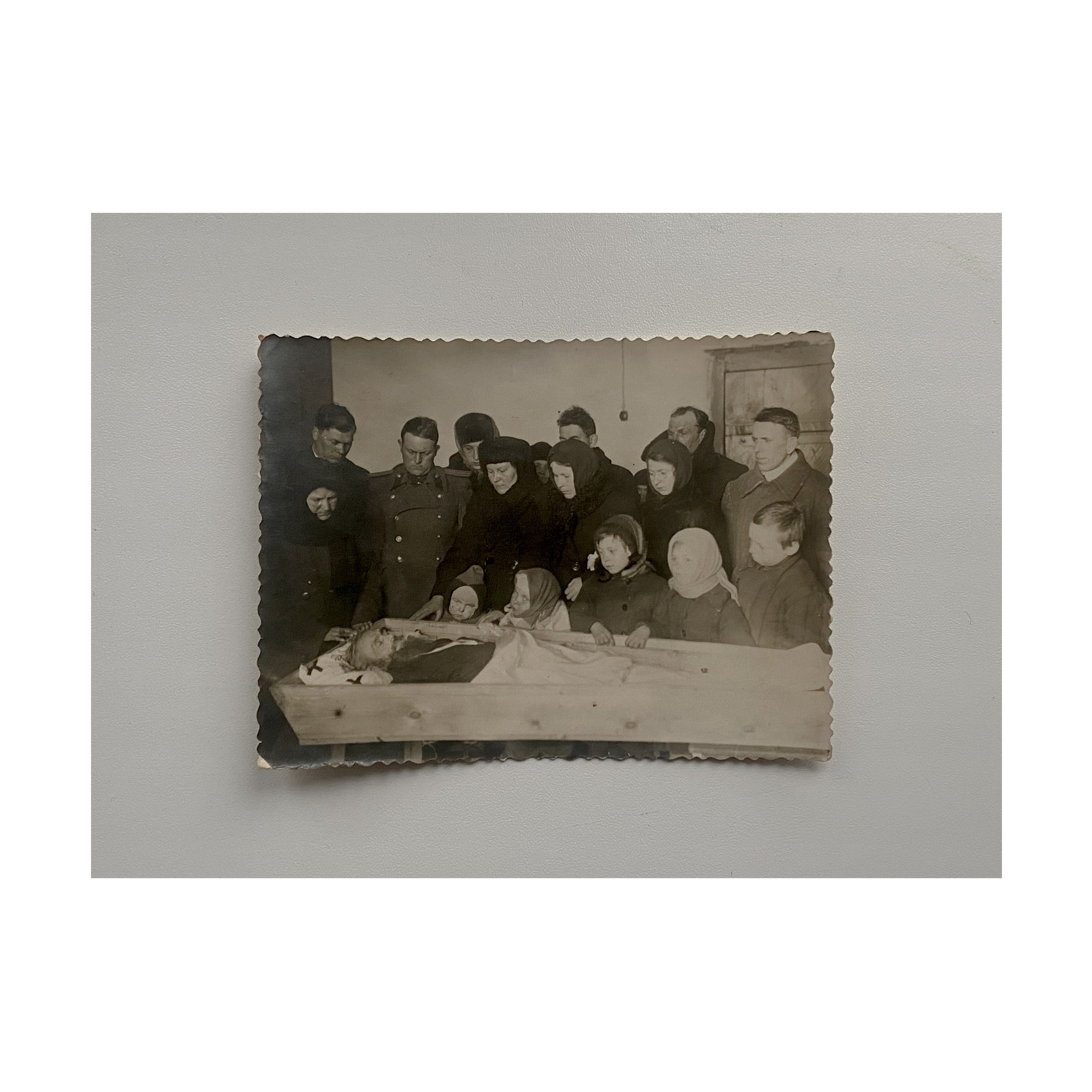 Phoenix. Nelly Elagina