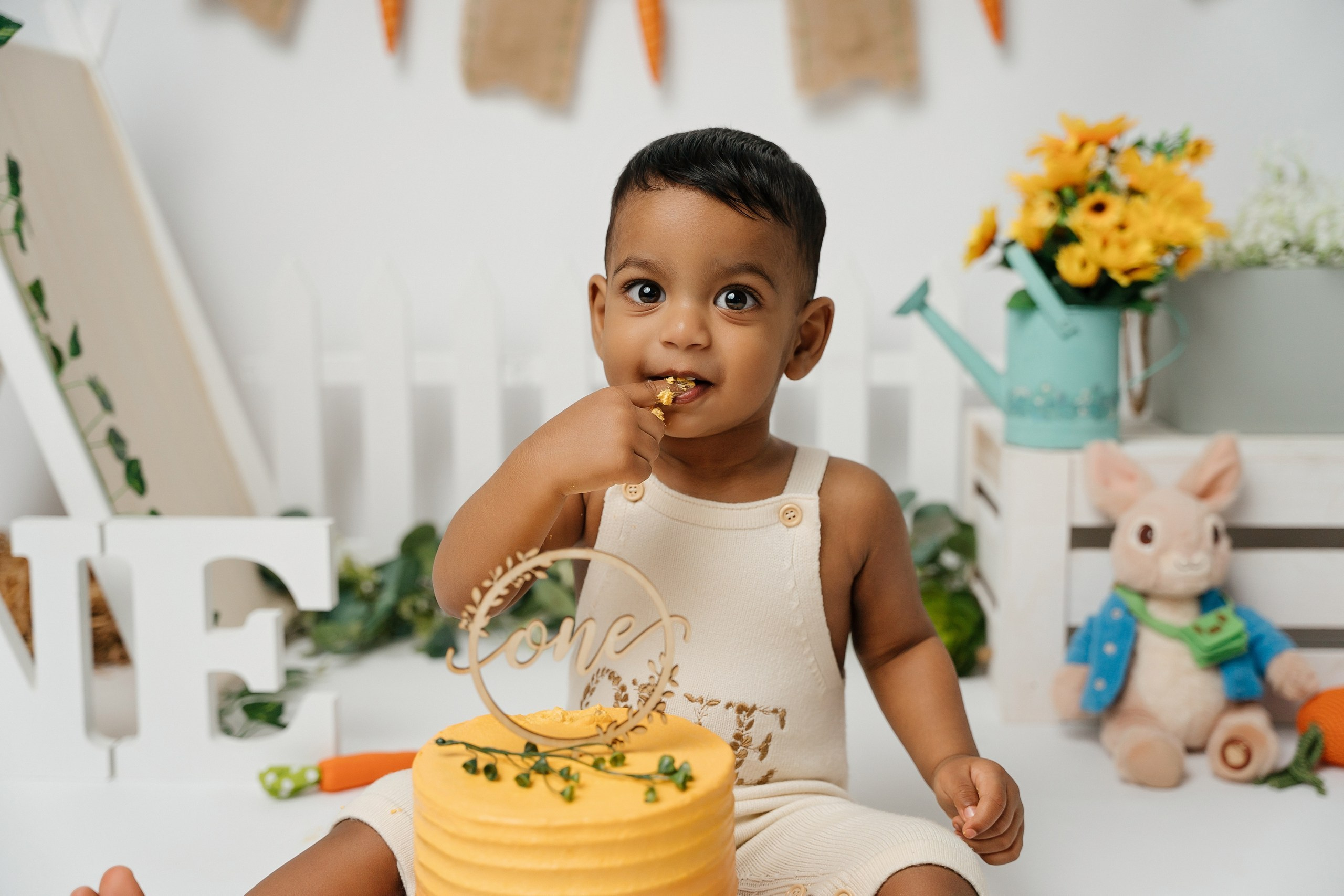 Peter rabbit cake smash session. Newborn and family photographer. Hills District. Sydney