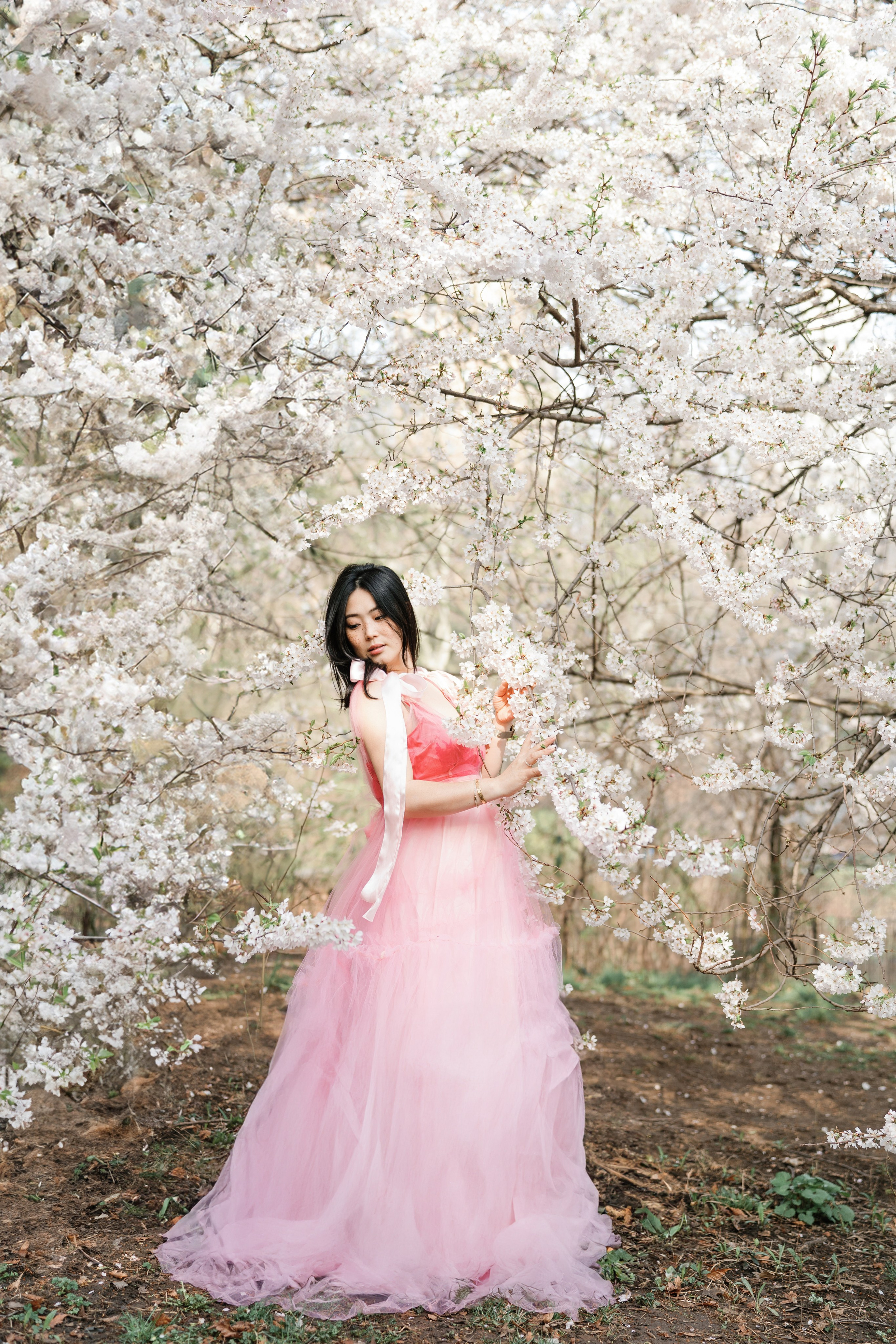Sakura Photoshoot in New York. Photographer in New York Faery By Mary