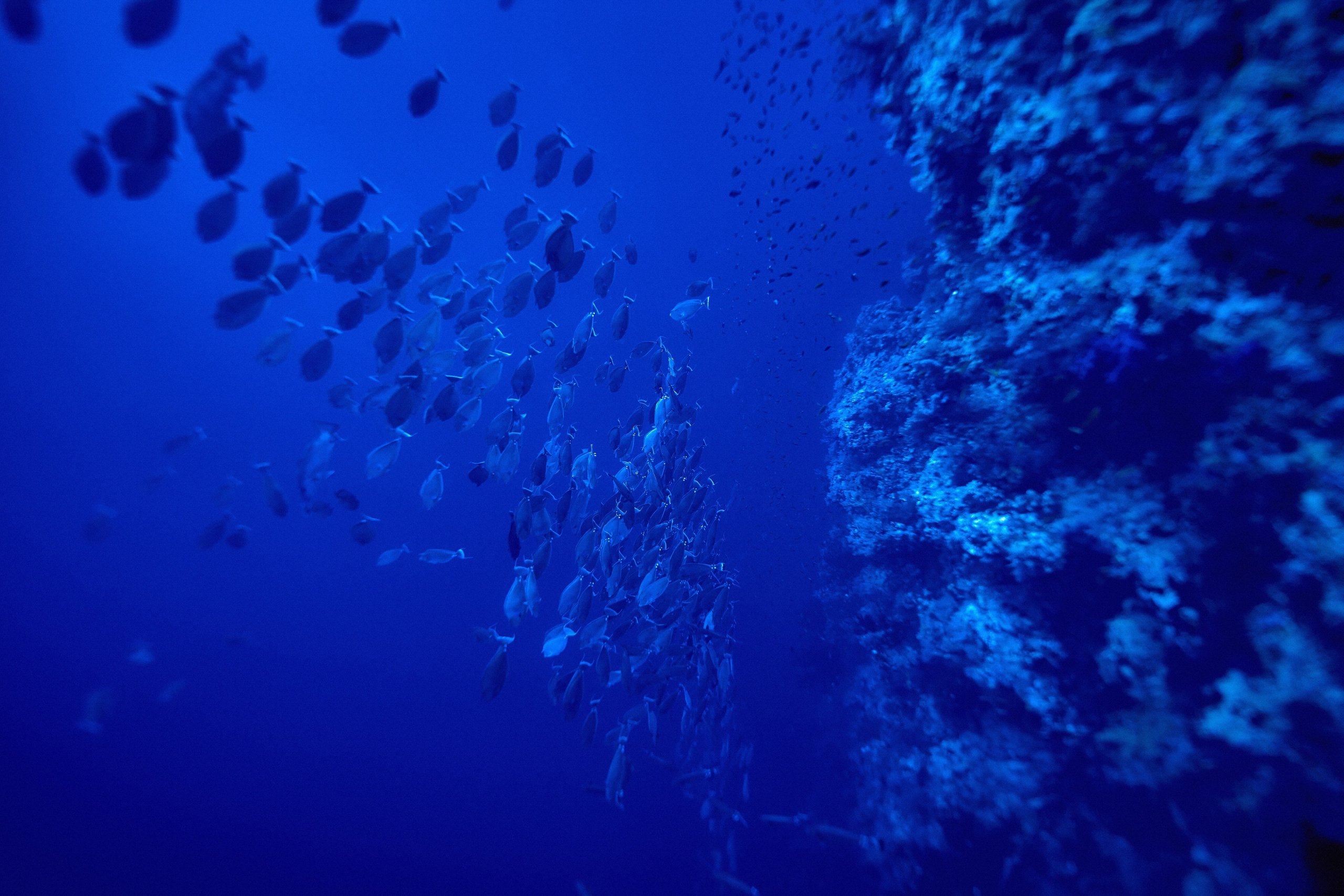 Wielka Niebieska Tajemnica. Andriej Szypilow — Photography & Videography