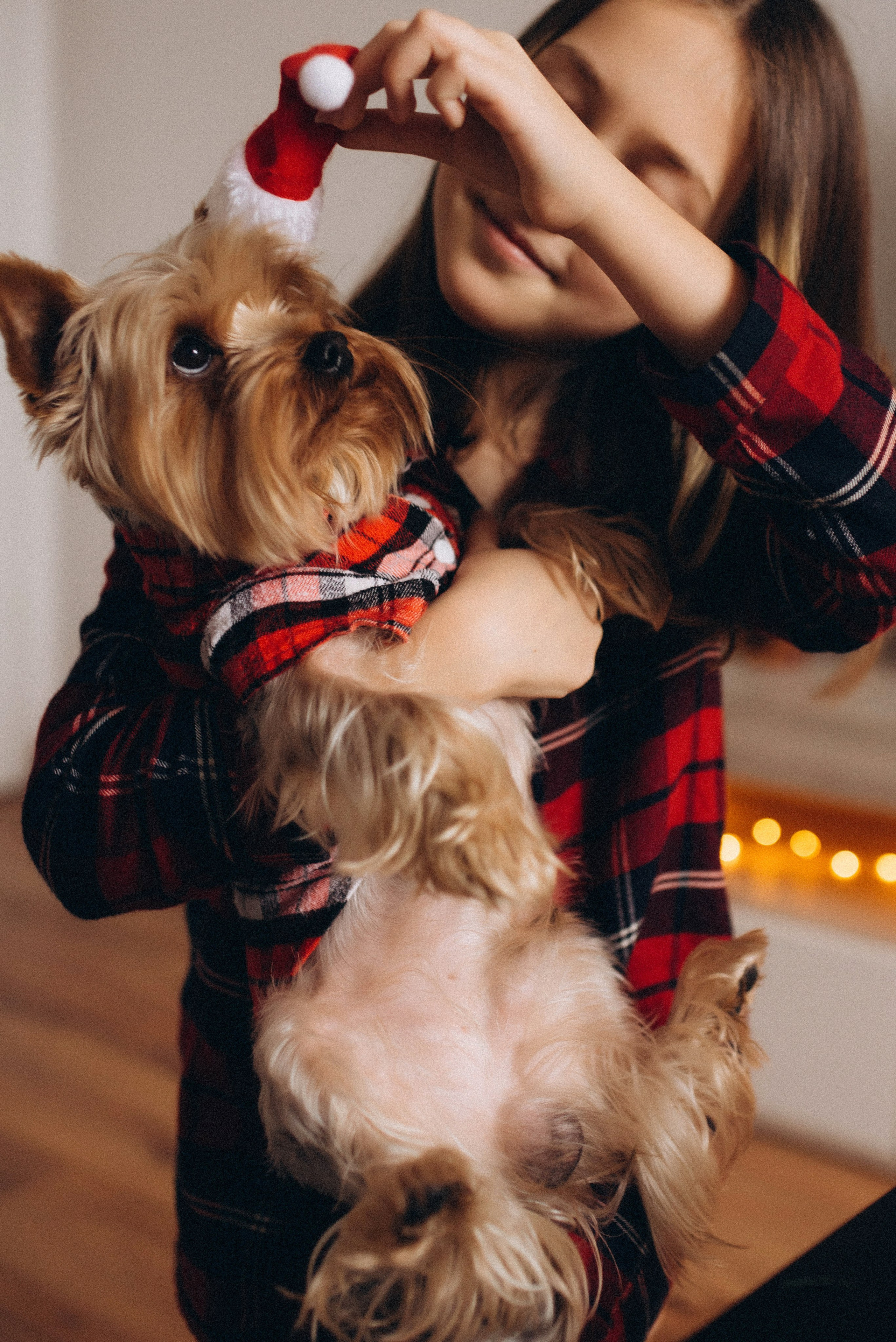 Семейная новогодняя фотосессия. Семейный фотограф Лейпциг, Германия