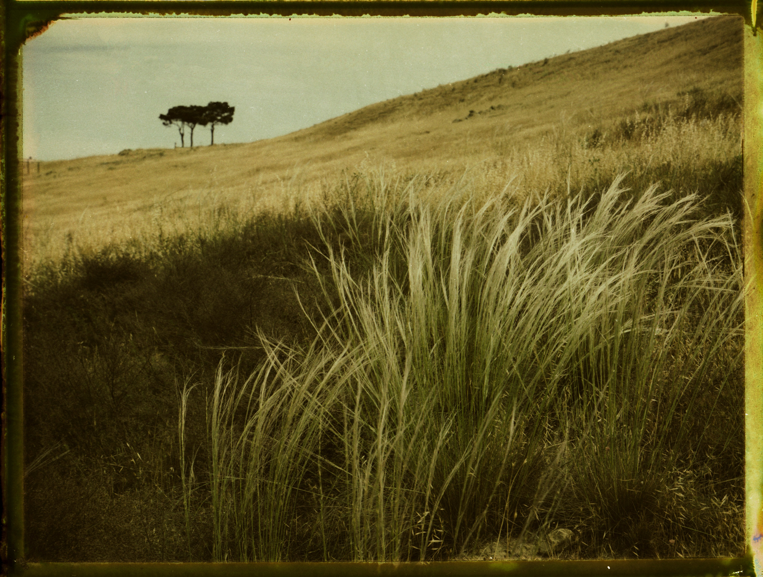 POLAROID. Www.sananaleskerov.com