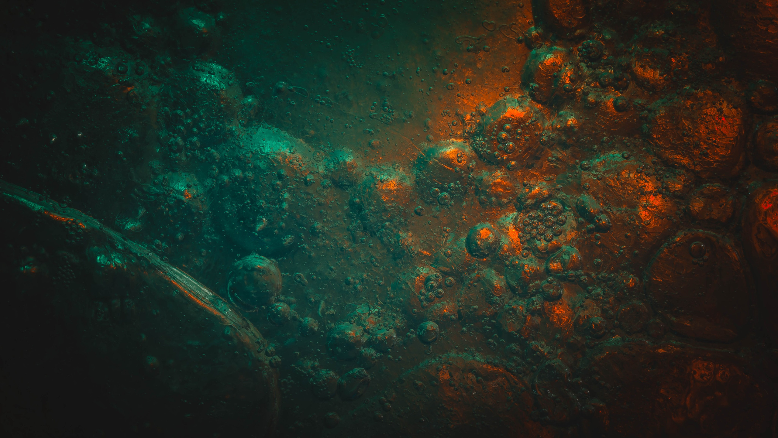 Creative Macro Photographer & Content Creator in Birmingham, UK — Lee Hall