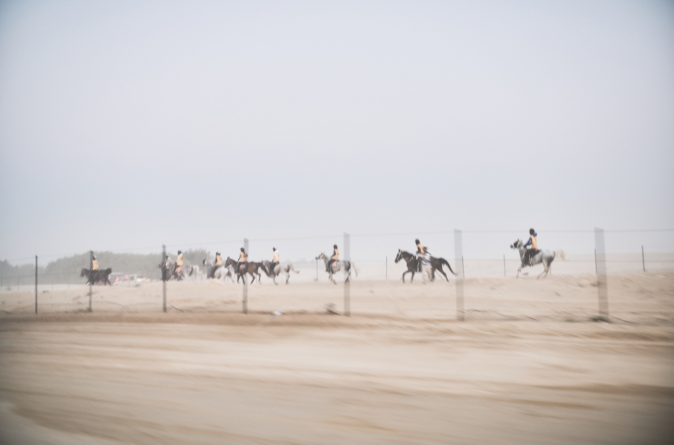 ENDURANCE HORSE RACING. Grigoriy Yaroshenko photography | Фотограф Григорий Ярошенко