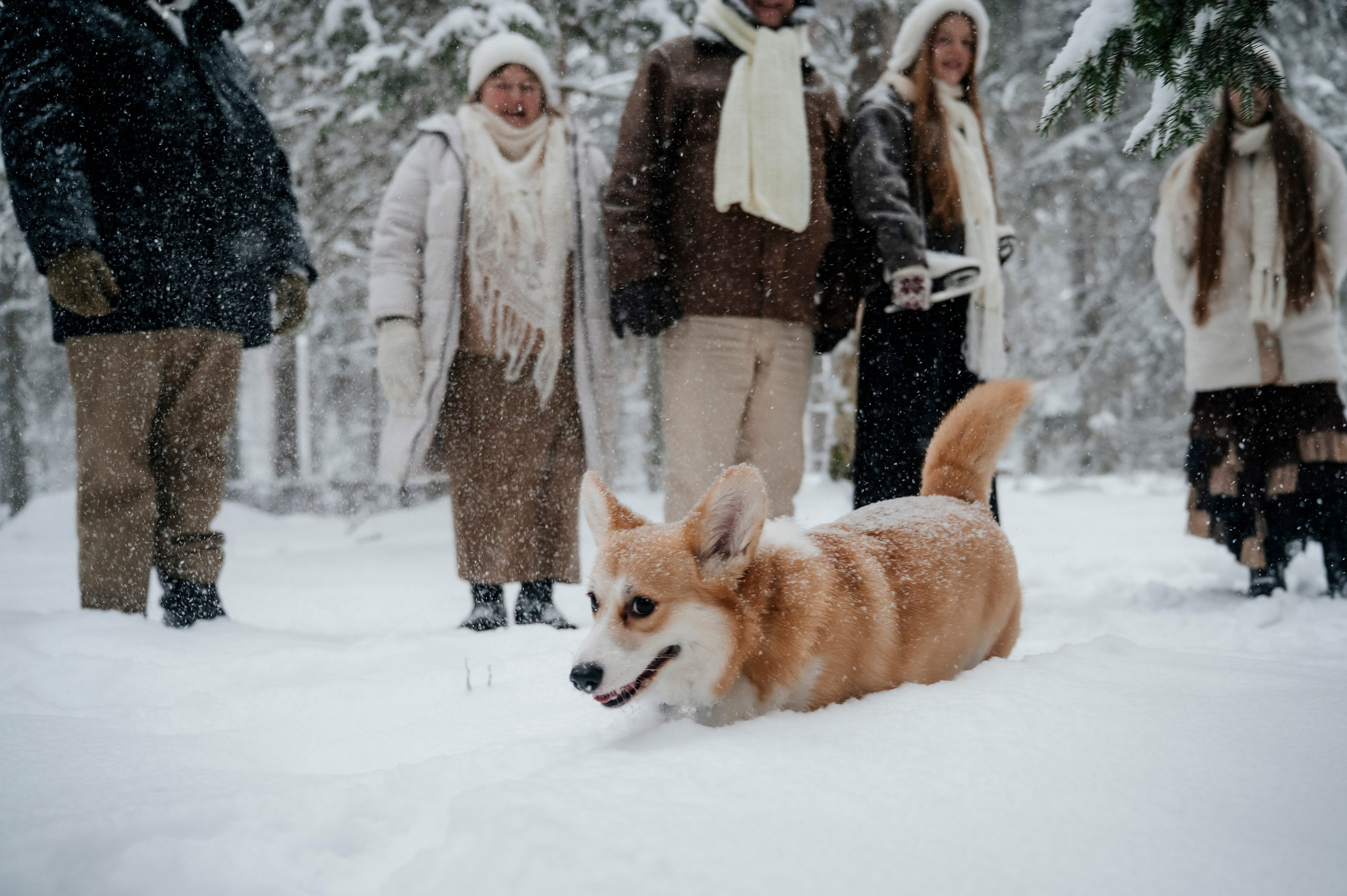 Семья/пара. Фотограф Таллинн — свадьба |семья | lovestory