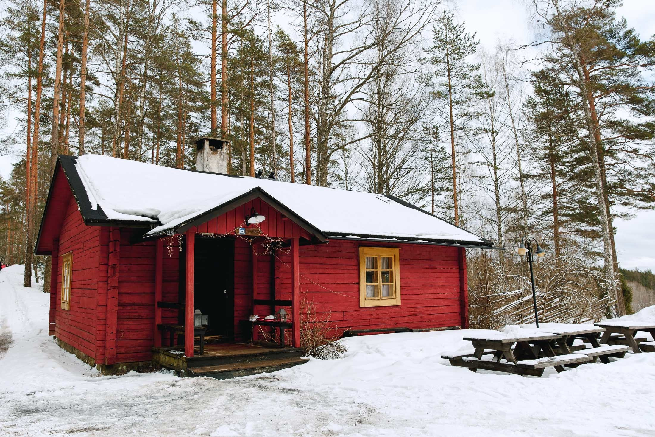Talviset hääkuvat, hääkuvaus Nuuksiossa