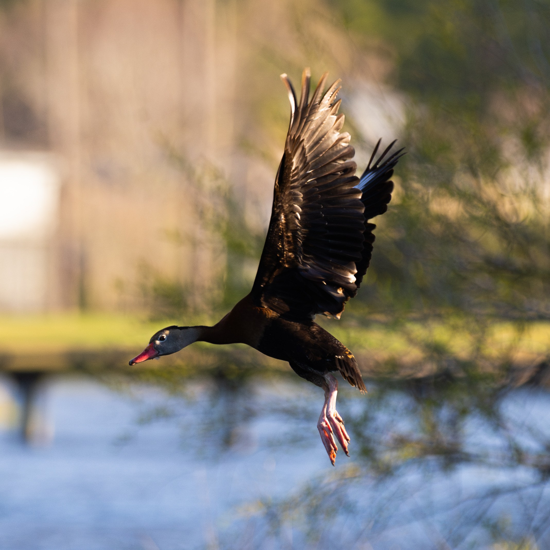 Fleeting Visions — A Personal Portrait Collection. Photographer St. Augustine