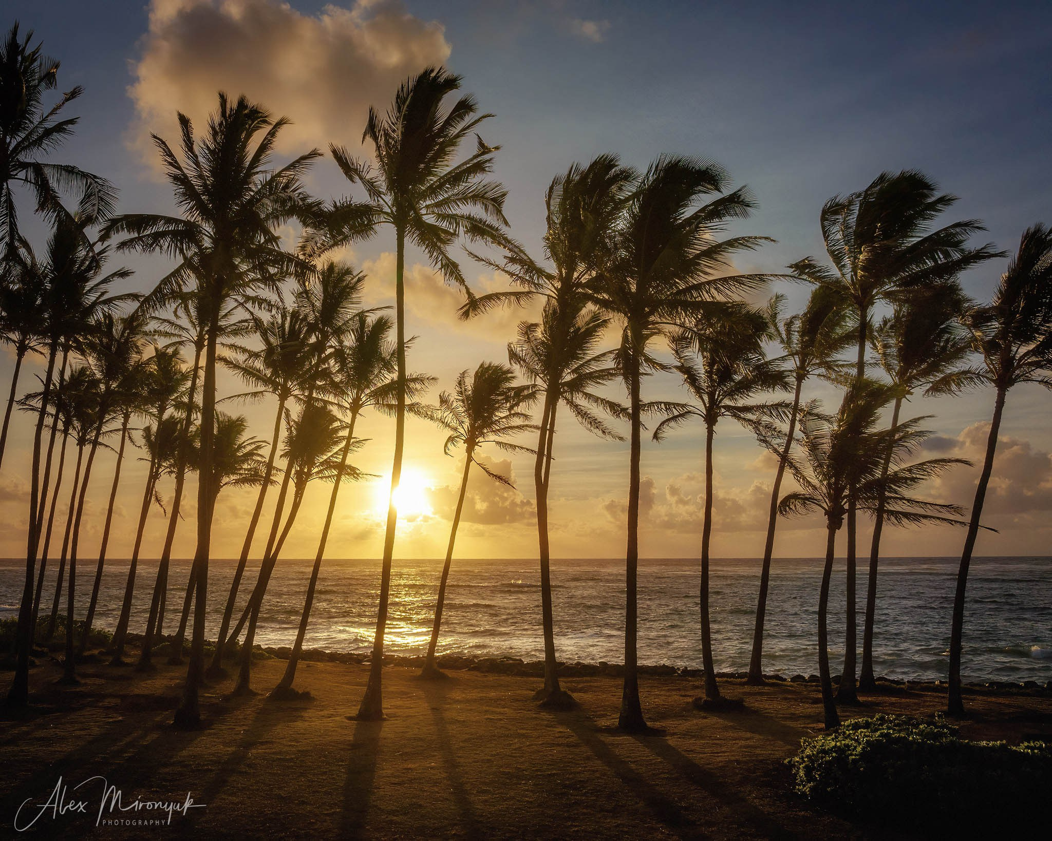 Kauai Photo Workshop