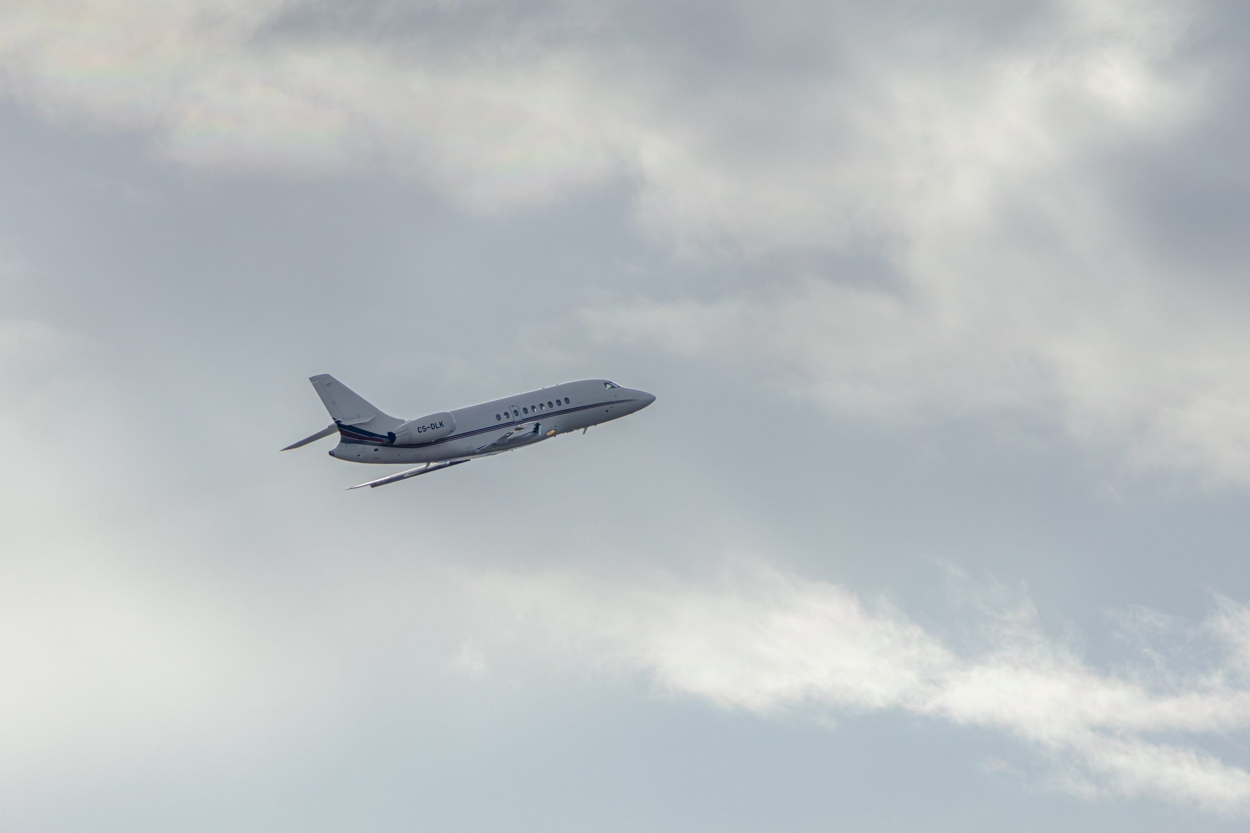 ფრთა ბუმბულისა და ფრთა რკინისა. FramefreeMan