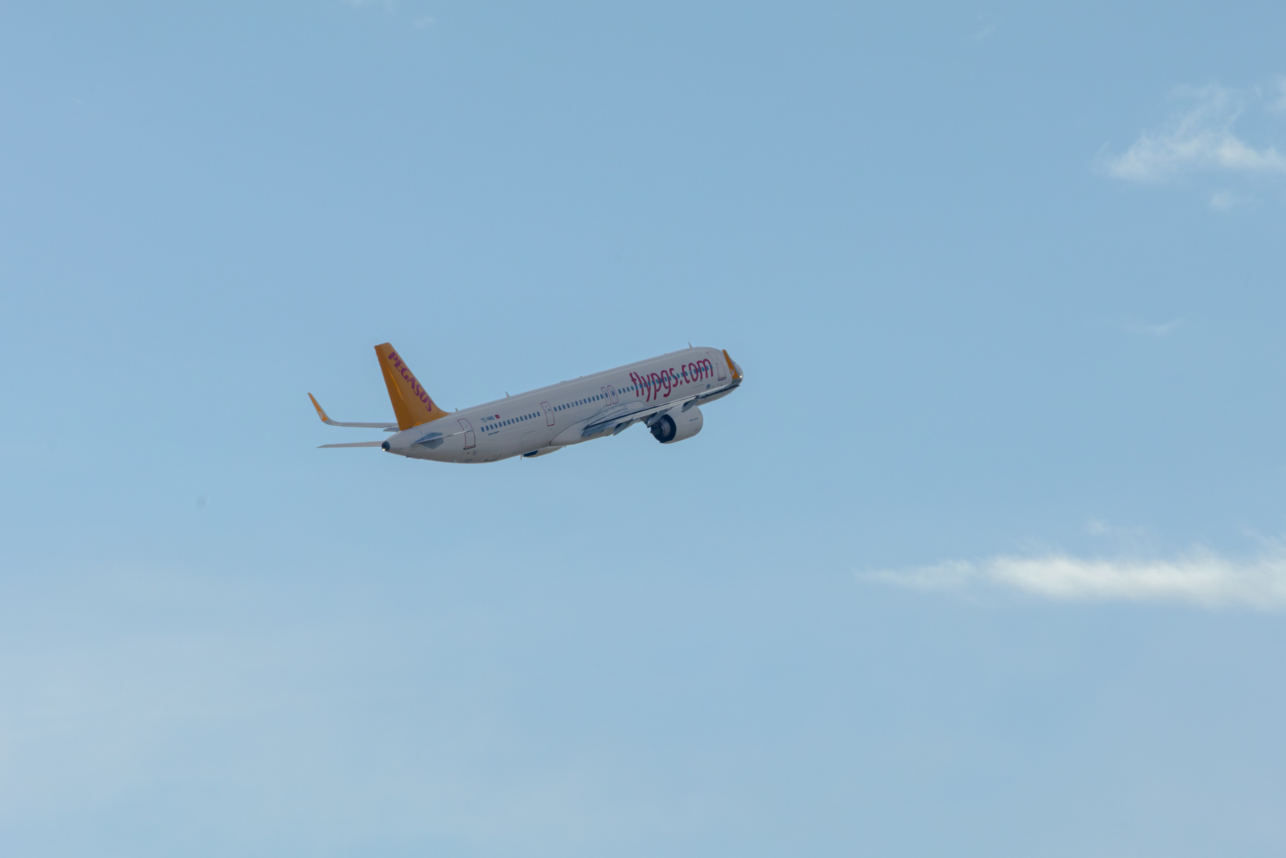 ფრთა ბუმბულისა და ფრთა რკინისა. FramefreeMan