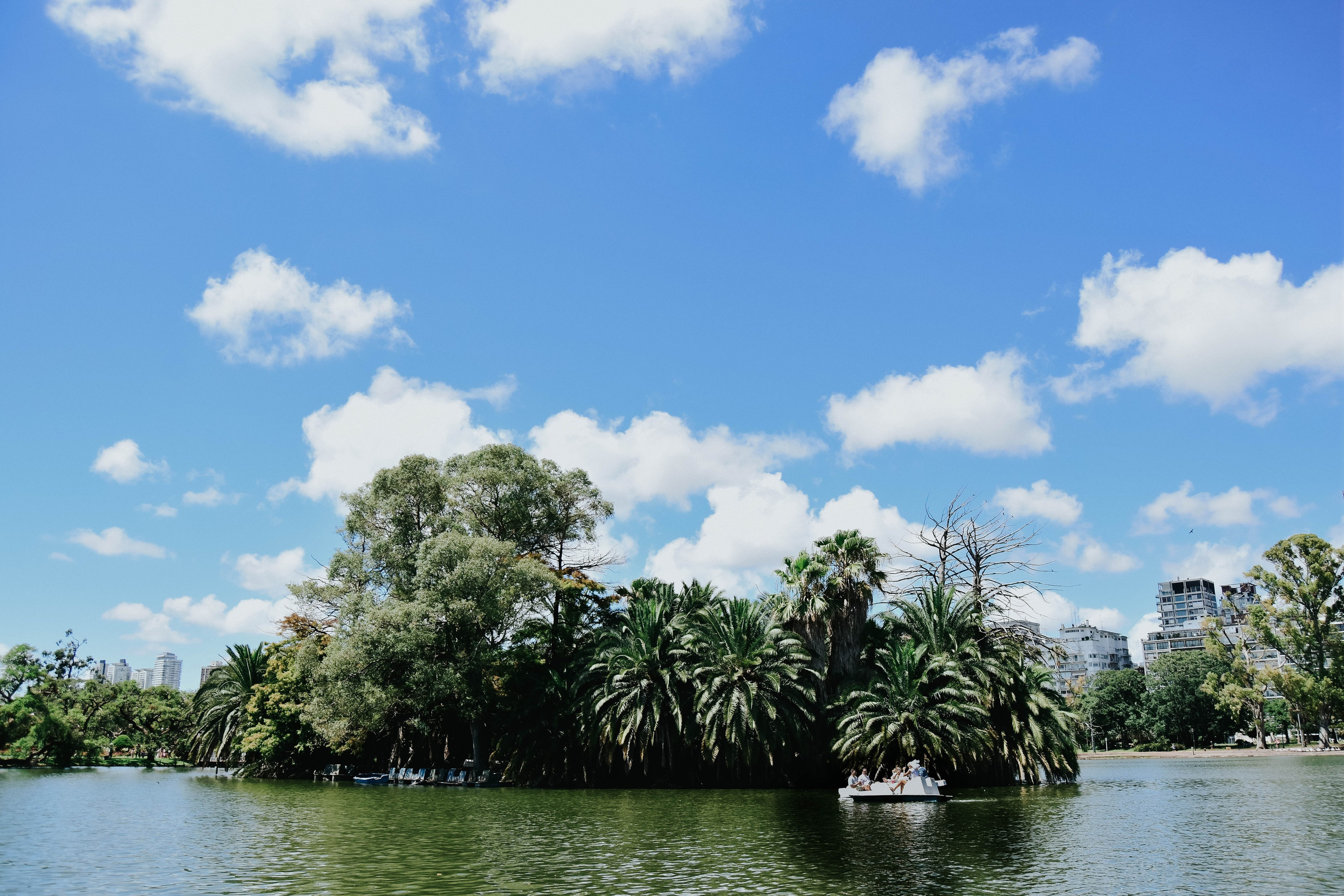 Oh, this wedding!. Photographer @elmirkami in the city of Buenos Aires
