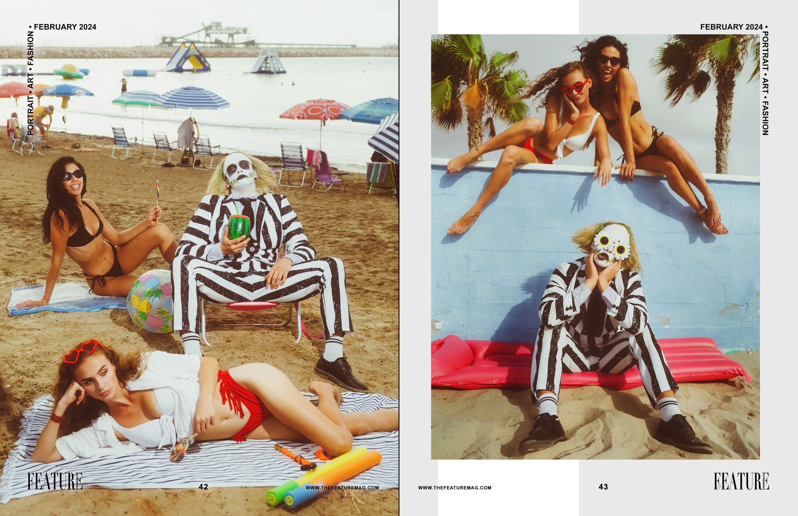 The best publications of the project Beetlejuice