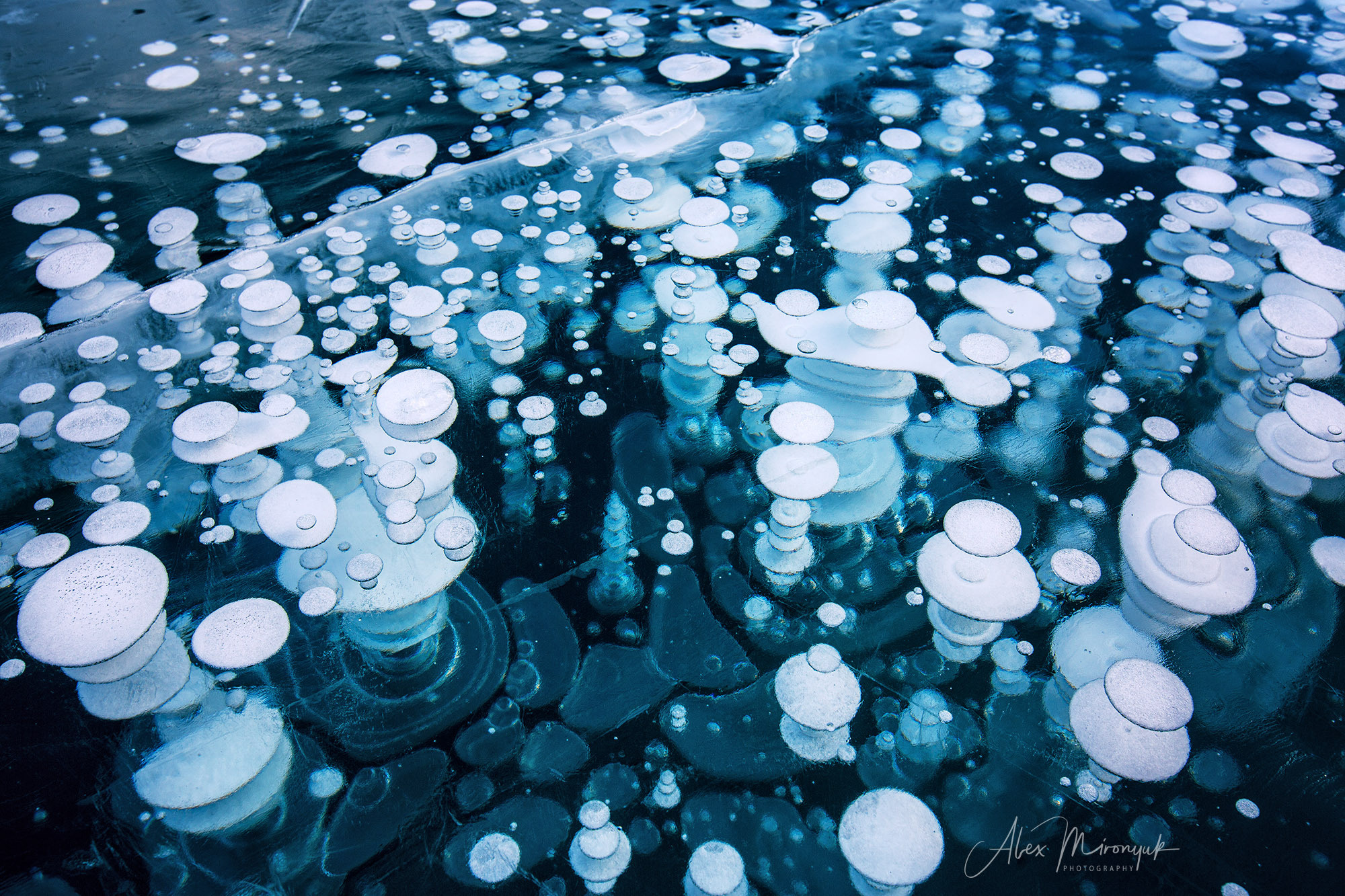 Canadian Winter Wonderland. Alex Mironyuk Photography