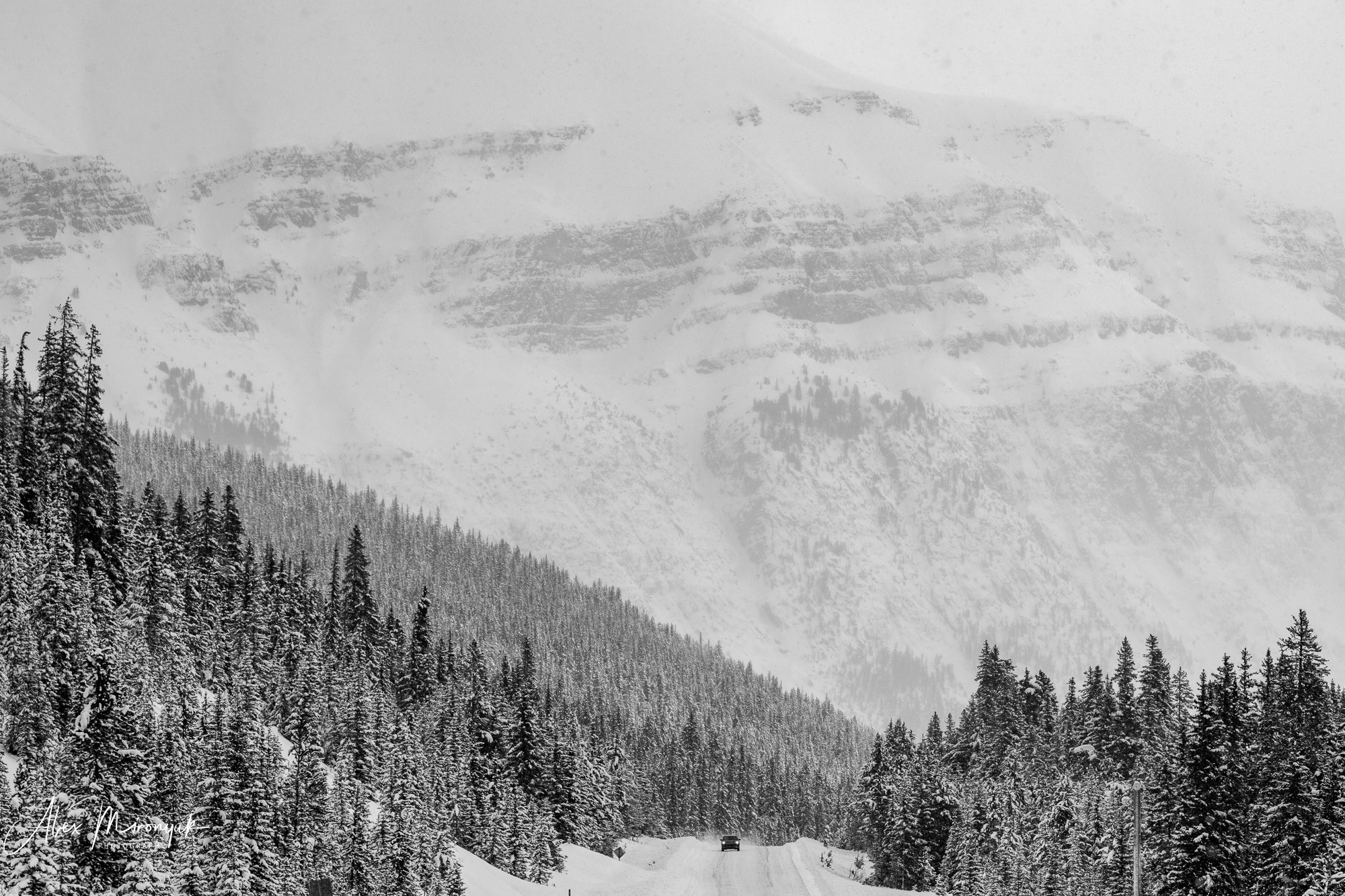 Canadian Winter Wonderland. Alex Mironyuk Photography