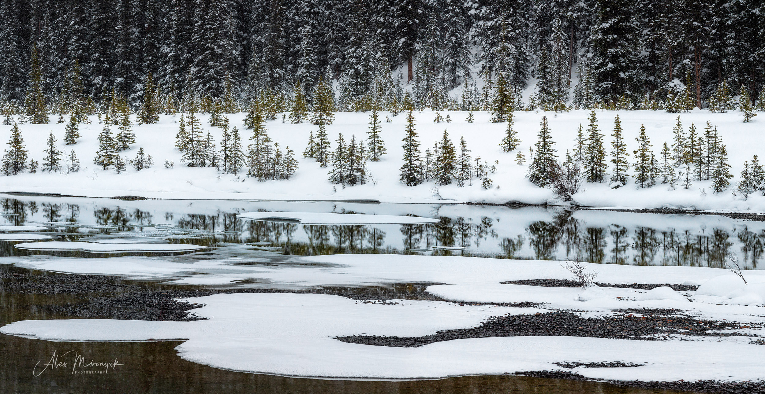 Canadian Winter Wonderland. Alex Mironyuk Photography