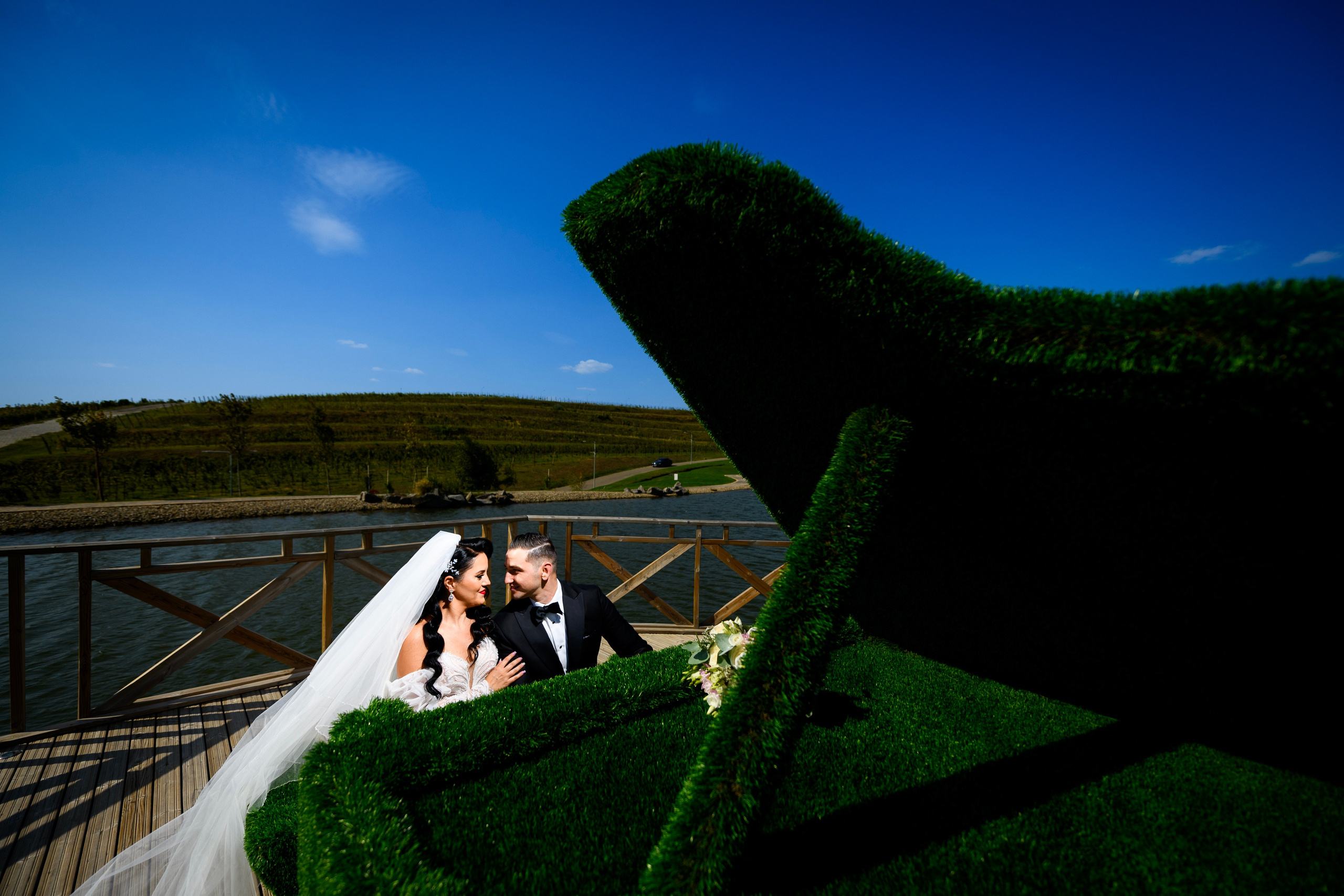 Roxana & Cristi. Alin Doana Visual Art