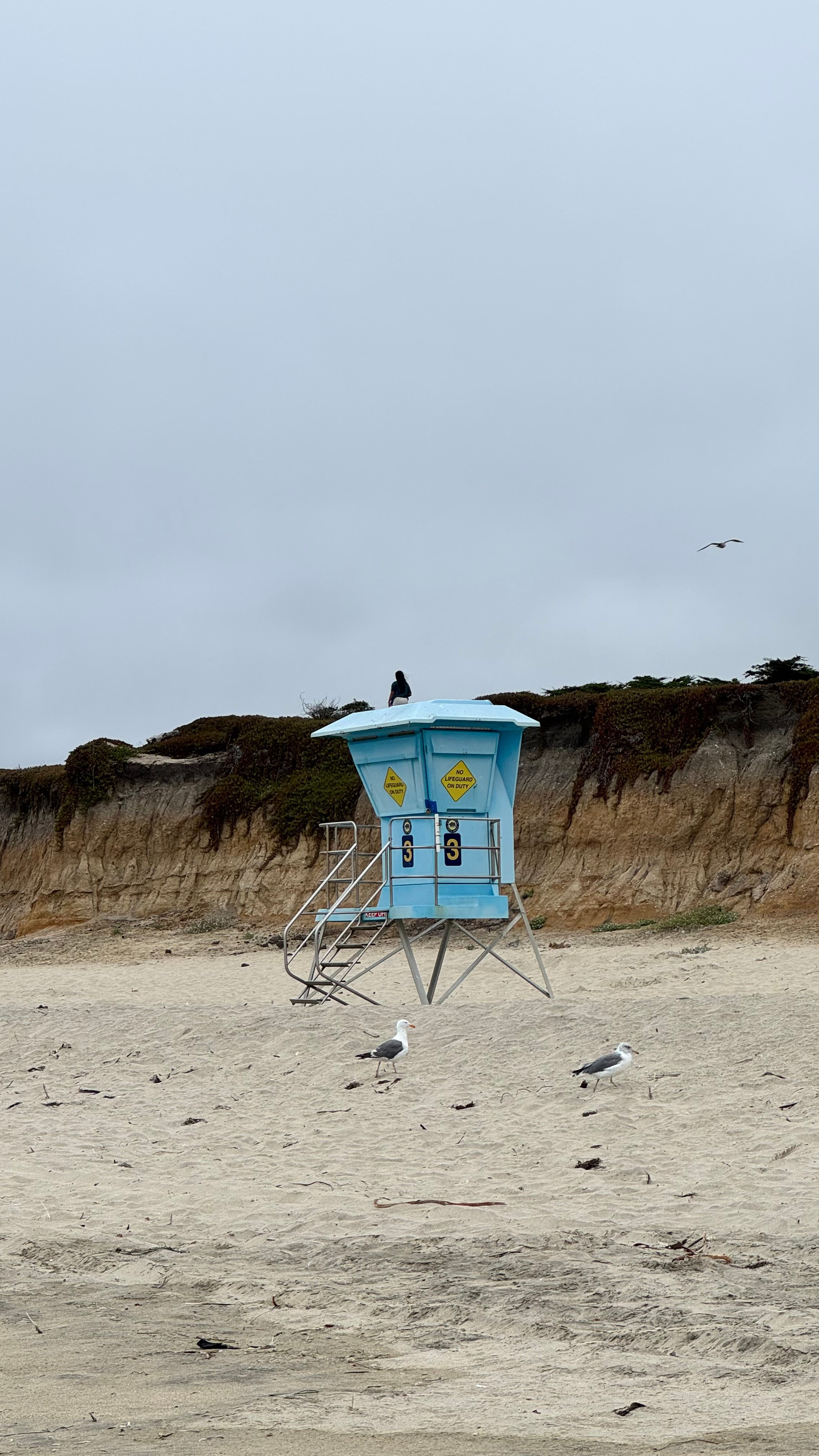 Bay Area Beach Guide for Photoshoots | Best Beaches for Maternity, Couples & Family. Maternity, newborn photographer in the Bay Area|Iryna Rakivnenko