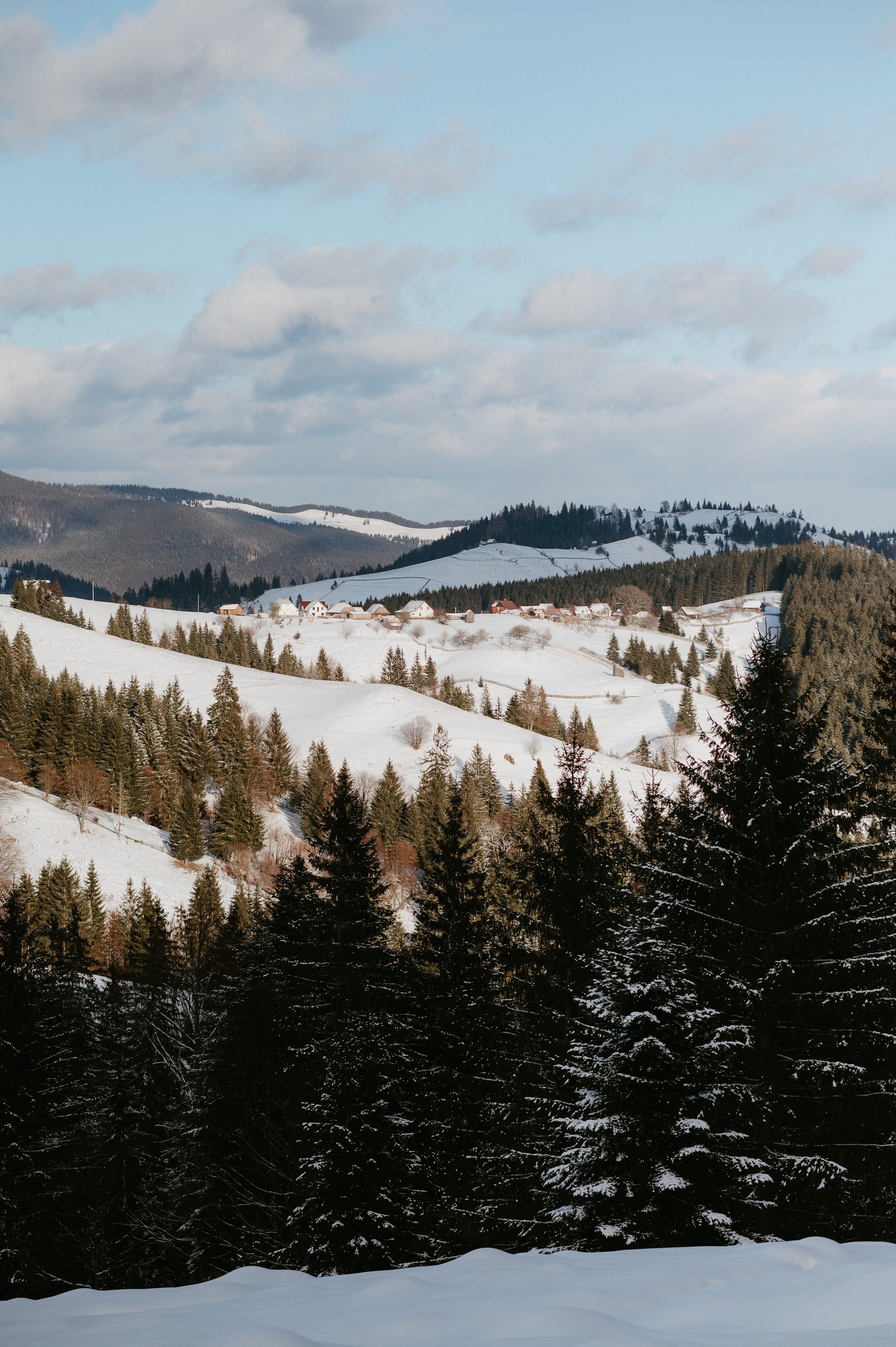 Ședință Foto de Familie la Munte – Fotografii de Iarnă în Lupcina. Valentin Melen - fotograf de nunta 🤍