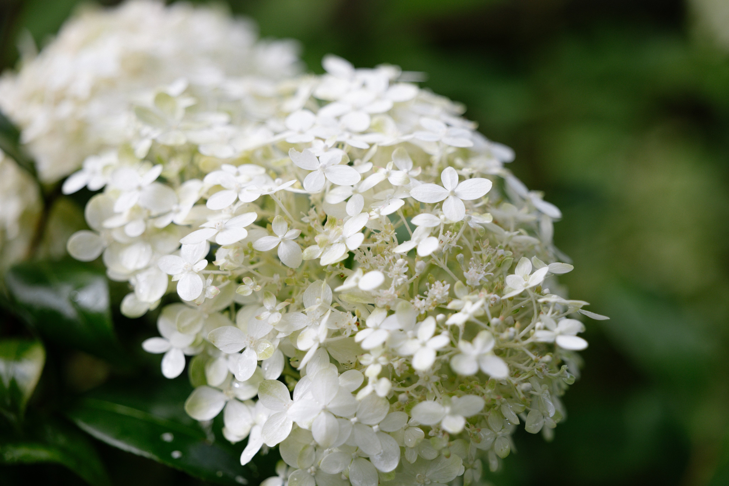 Intimate and emotional wedding. Timeless Wedding & Event Photography from London to the world