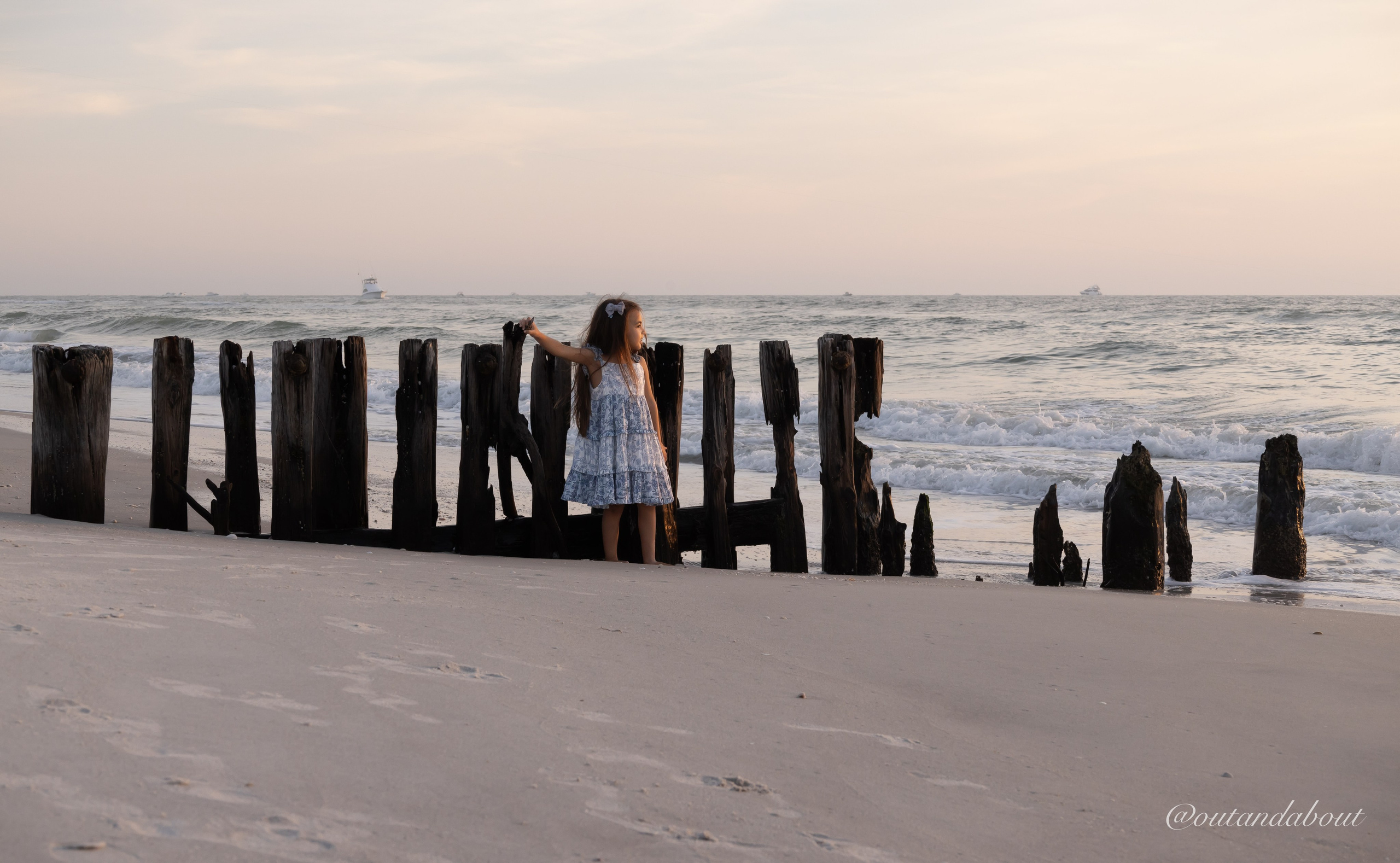 Home. Out and About 239