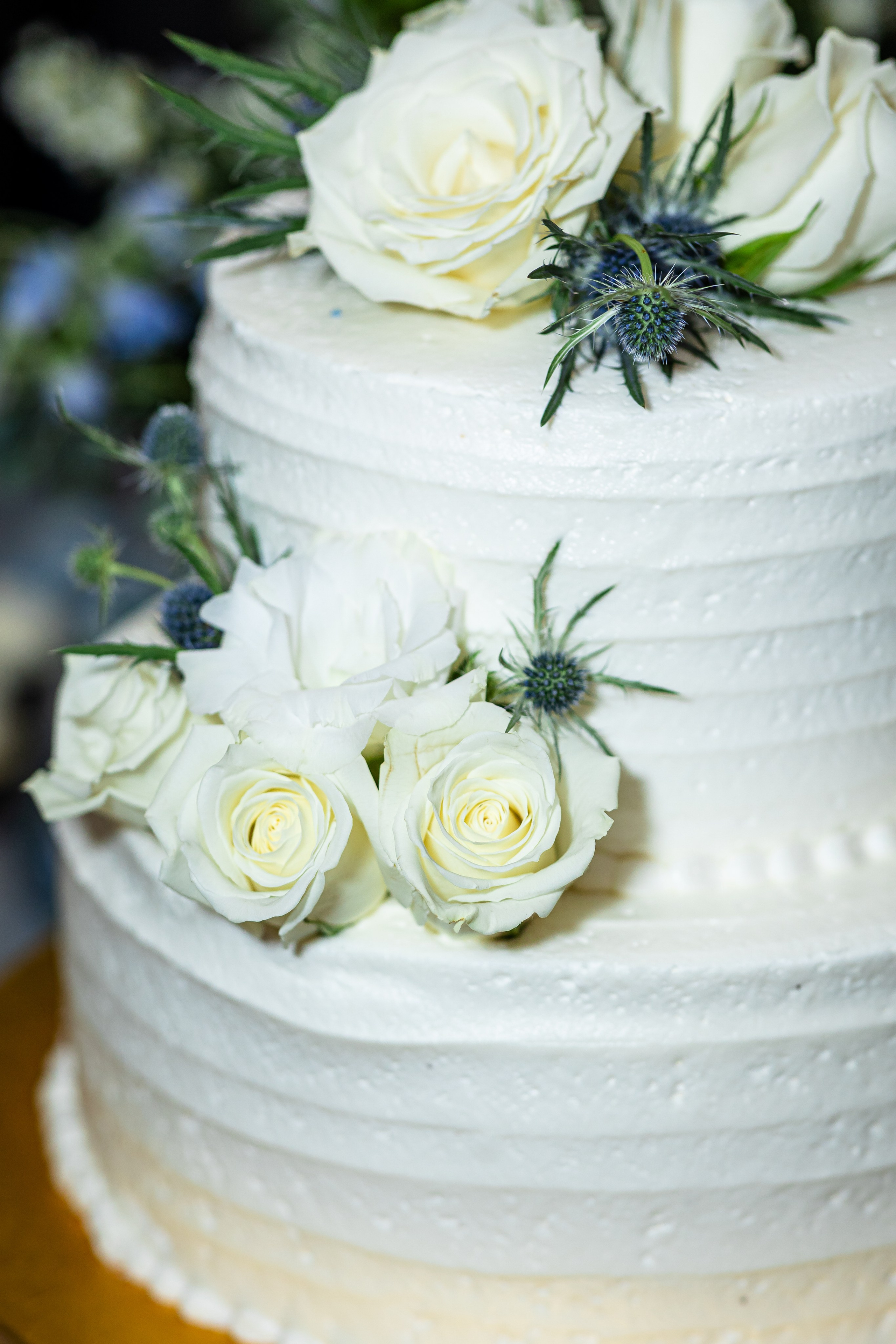 Blue wedding of Stacey and Madison at Liberty Hall Bed & Breakfast located in Traveler’s Rest SC. Wedding and portrait photography in Greenville SC