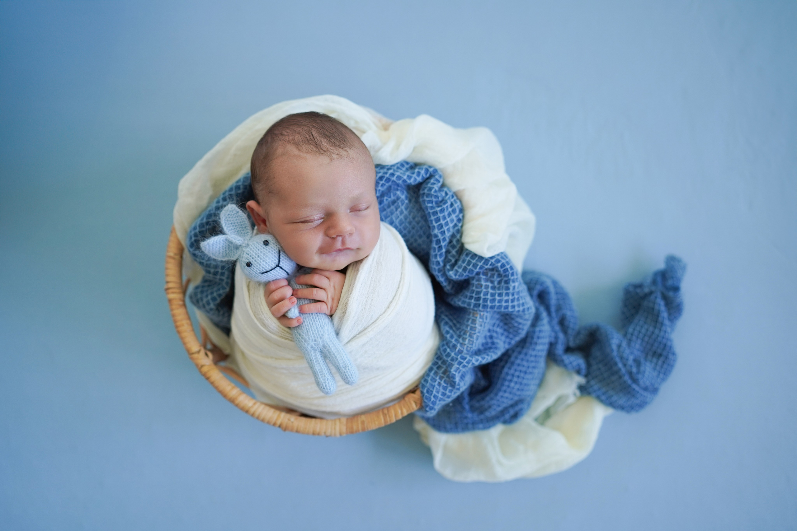 Posed Newborn. Maternity, family and newborn photography in San Francisco Bay Area
