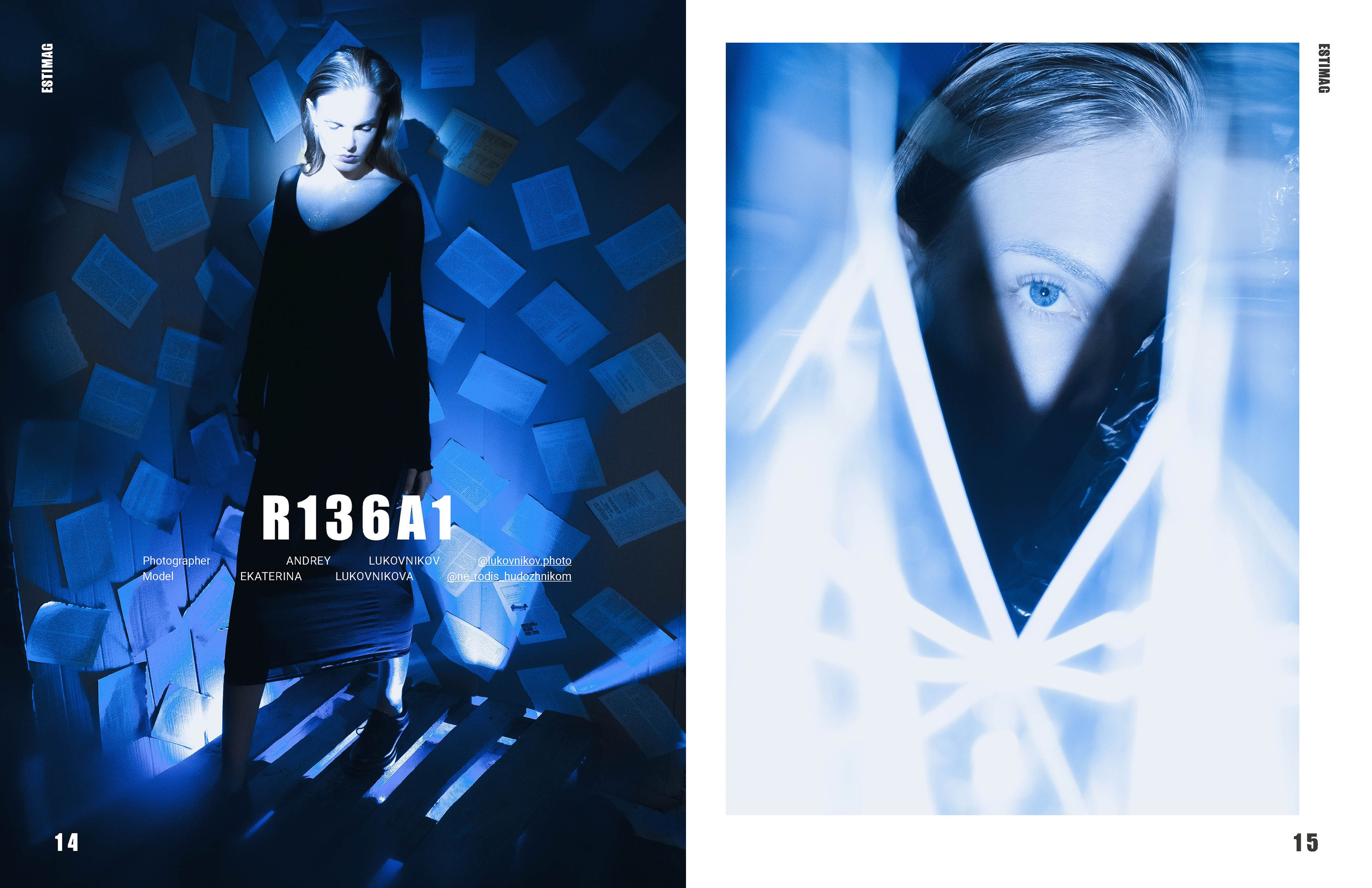 The best publications of the project R136a1