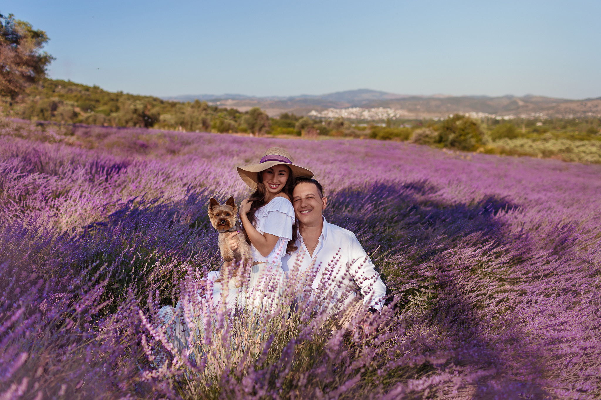 Лавандовое чудо