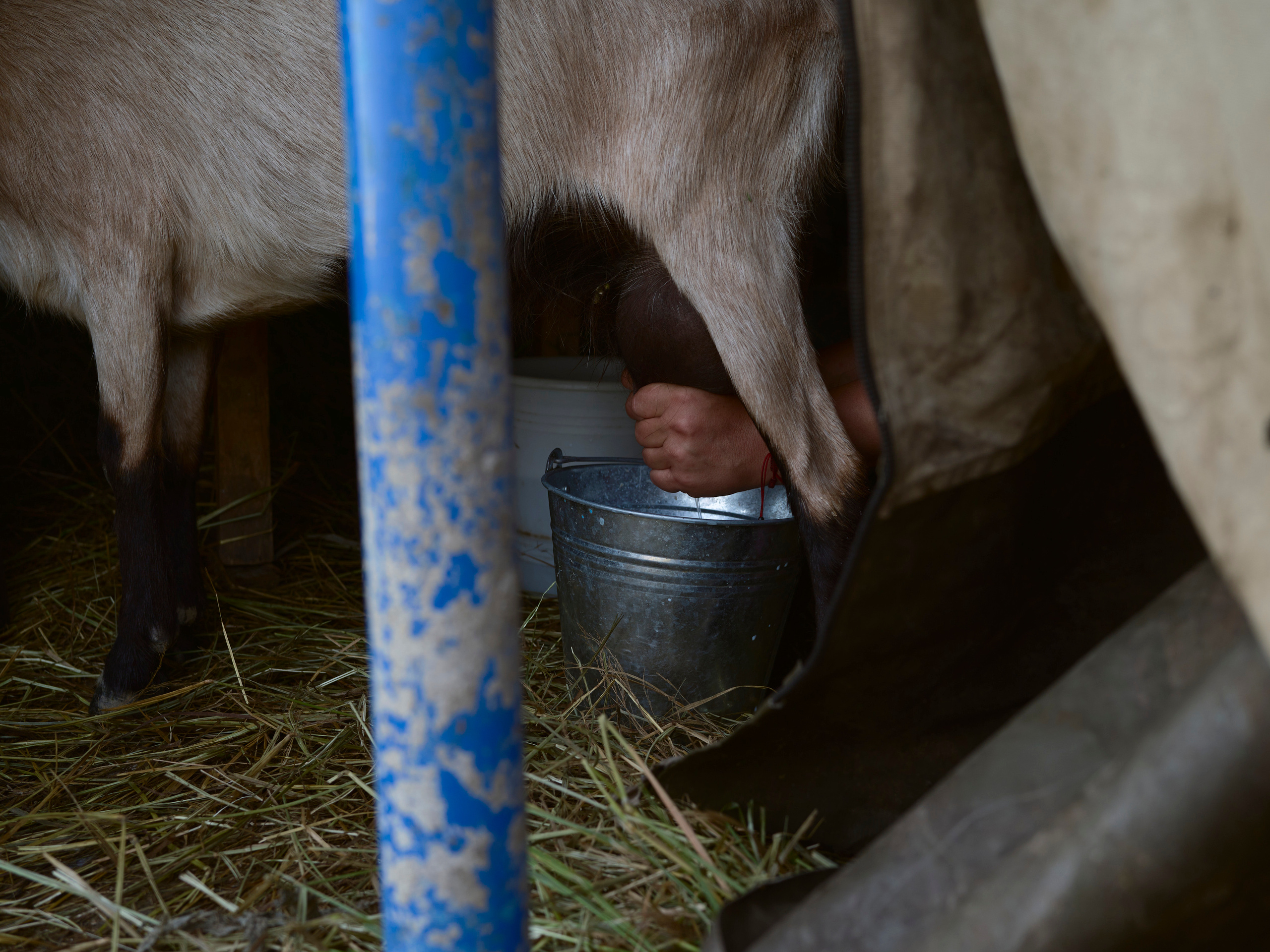 When water recedes slowly. Igor Ishchuk documentary photographer