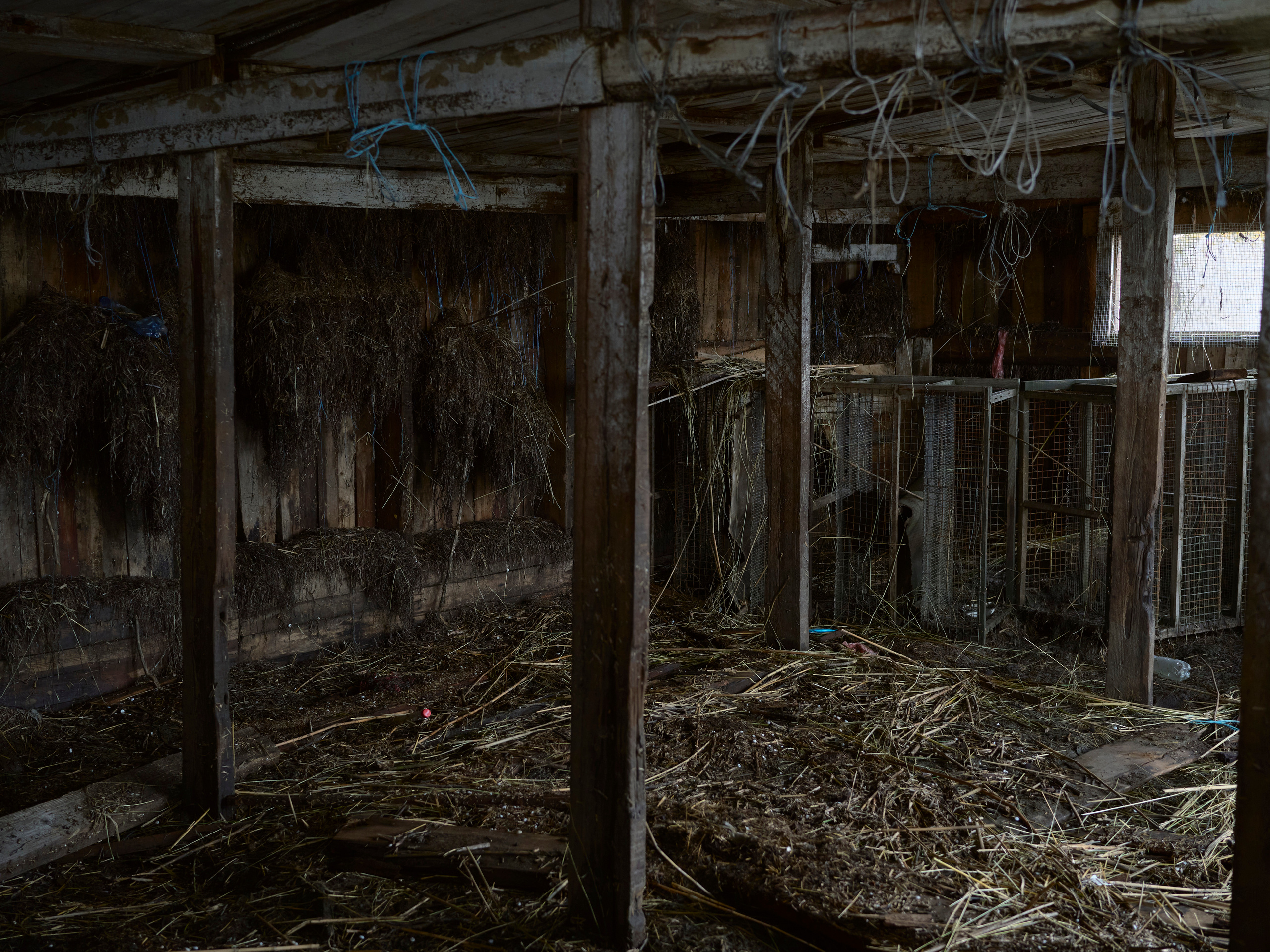 When water recedes slowly. Igor Ishchuk documentary photographer