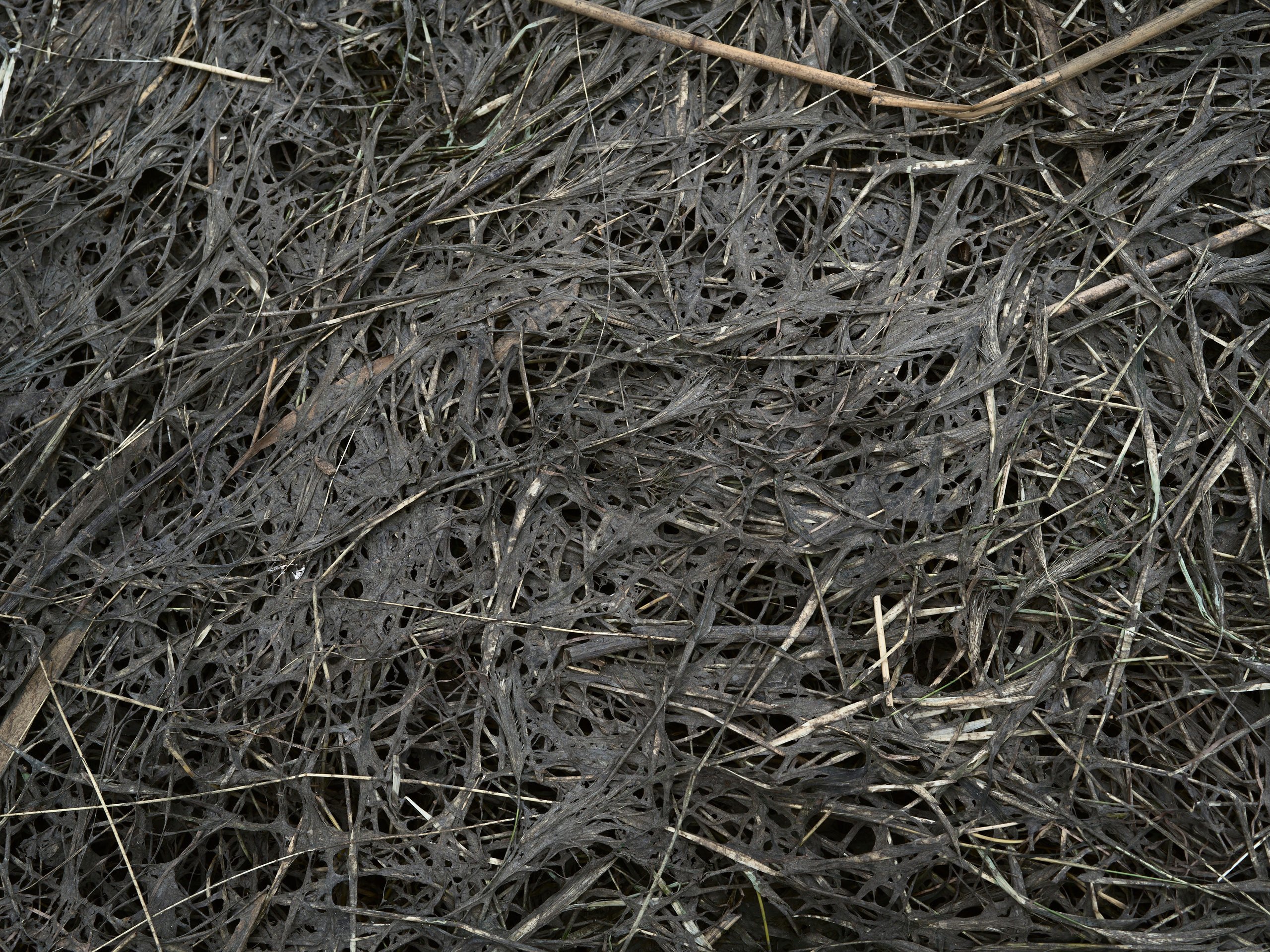 When water recedes slowly. Igor Ishchuk documentary photographer