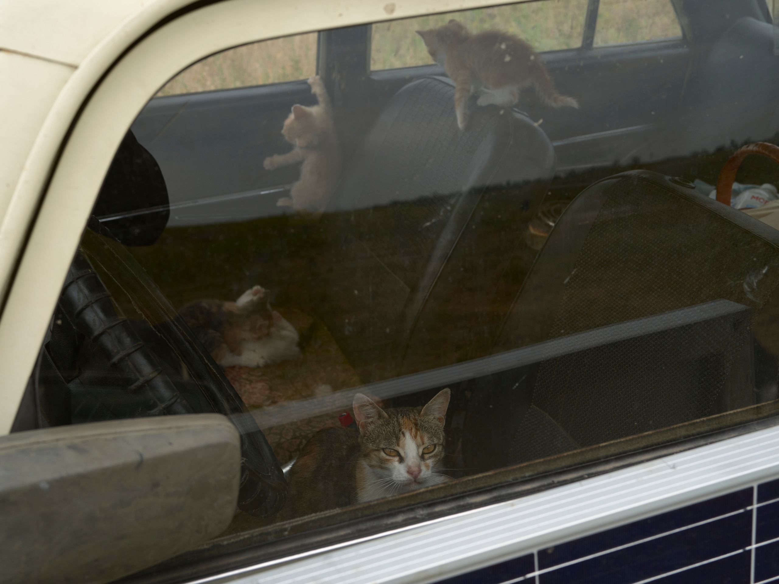 When water recedes slowly. Igor Ishchuk documentary photographer