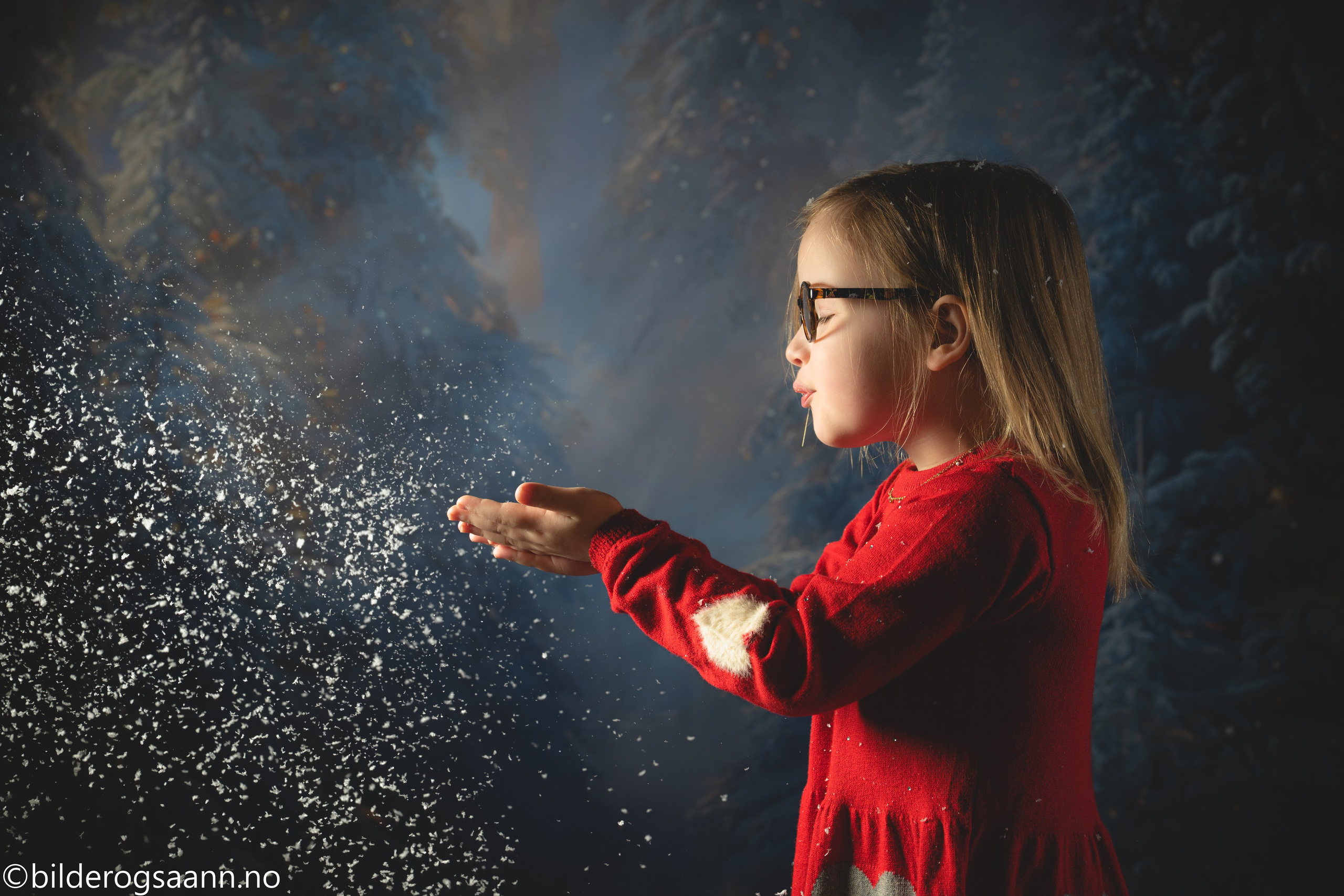 Prisliste. Din fotograf i Narvik kommune